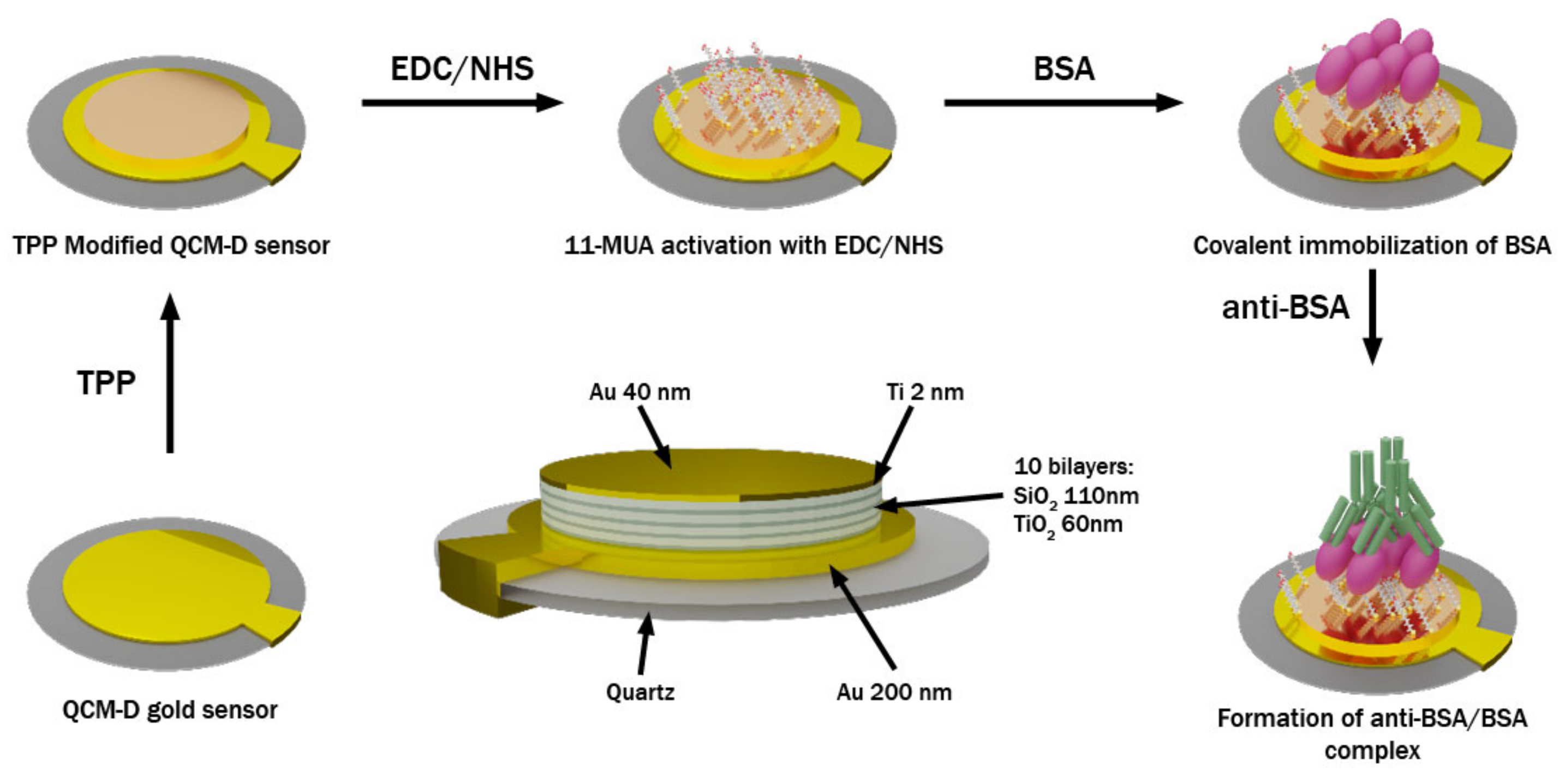 Biosensors 11 00501 g001