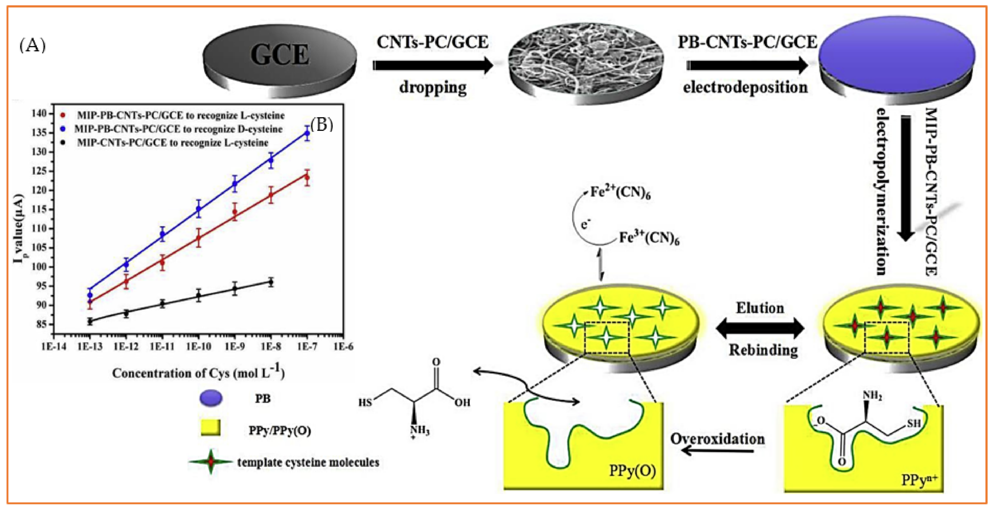 Biosensors 11 00502 g006 Biosensors 11 00502 g006