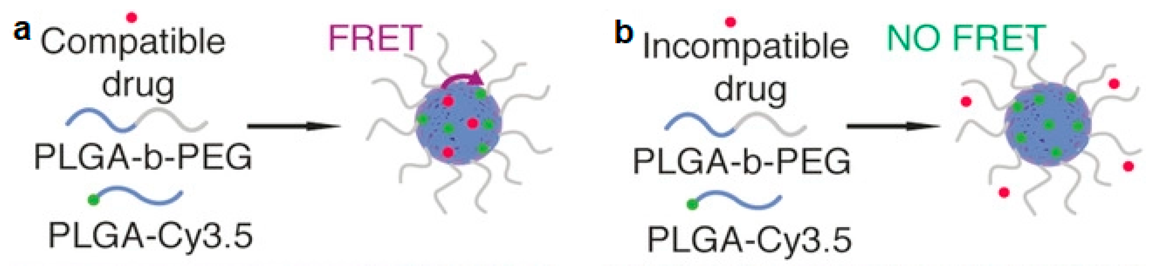 Biosensors 11 00505 g004