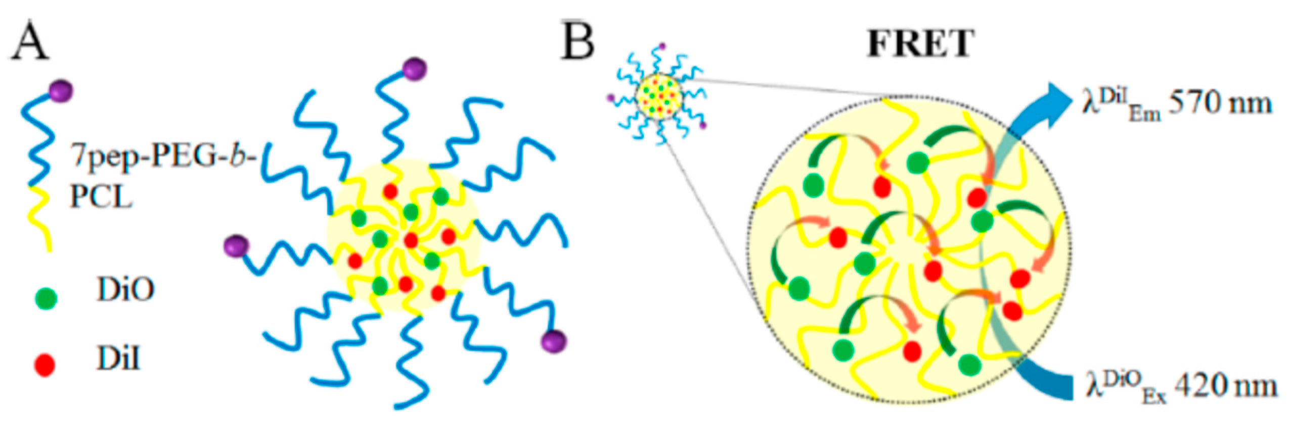 Biosensors 11 00505 g005