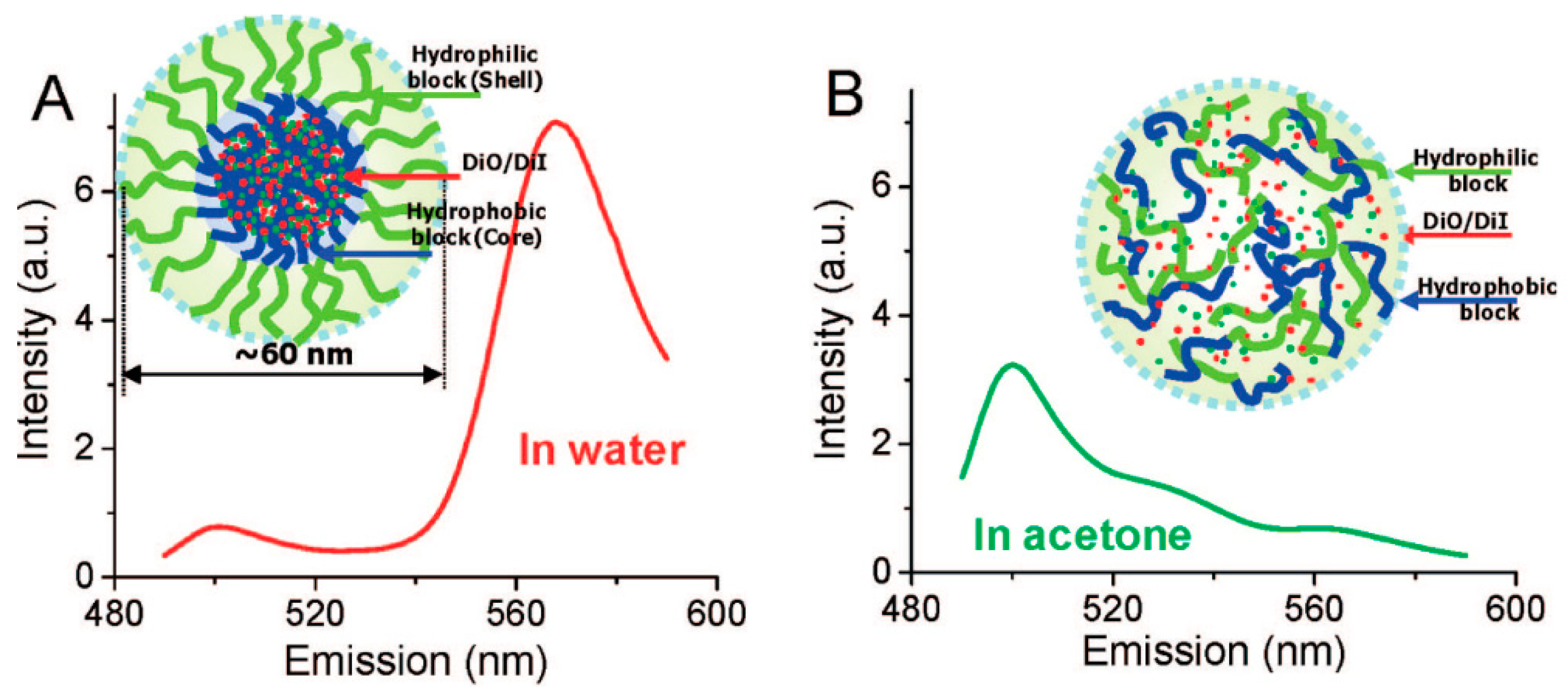 Biosensors 11 00505 g011