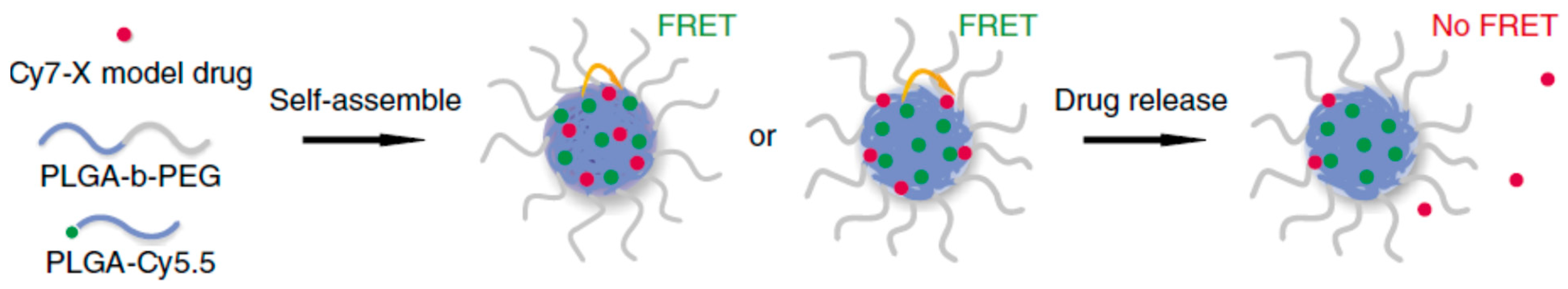 Biosensors 11 00505 g012
