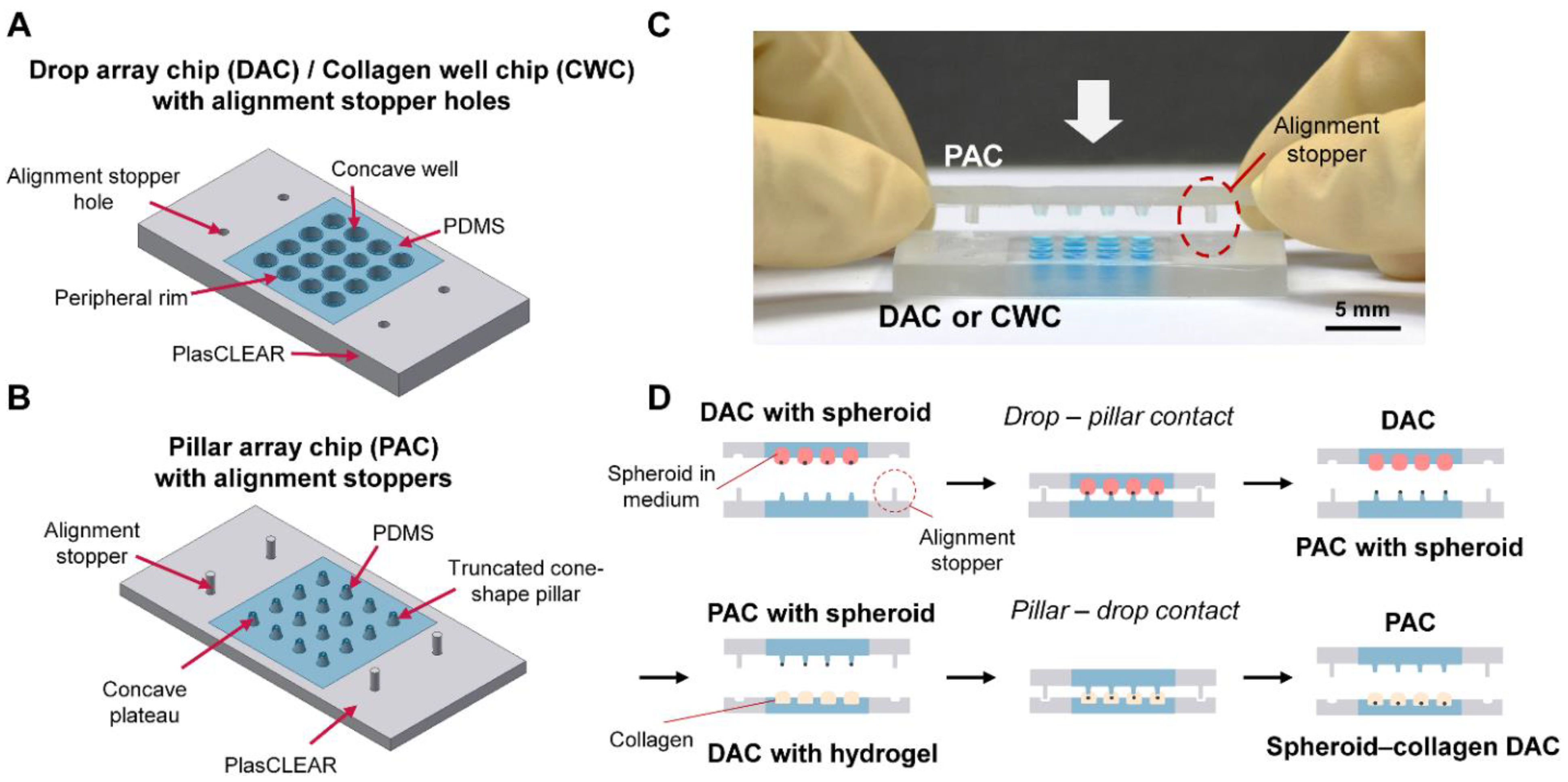 Biosensors 11 00506 g001 550