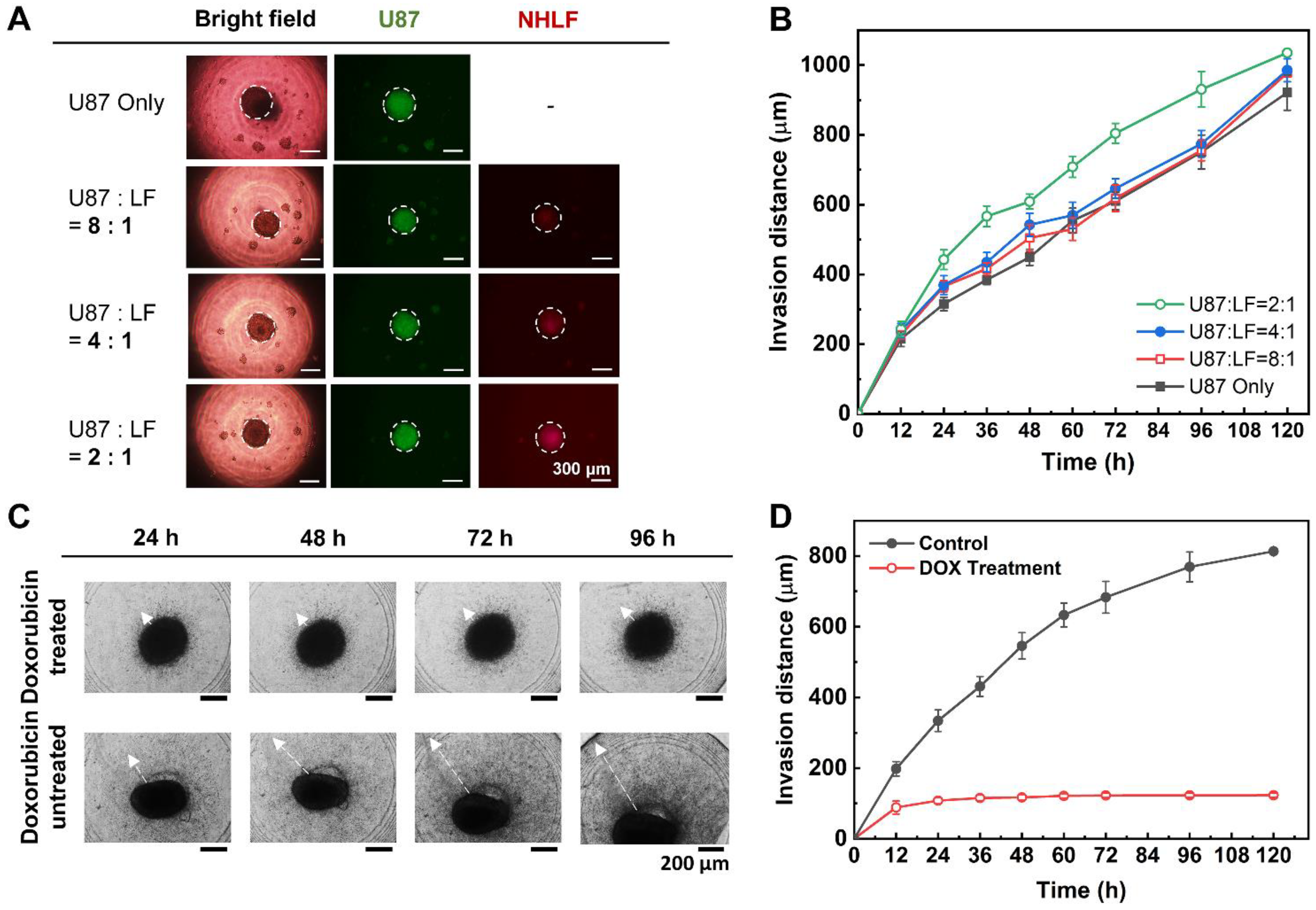 Biosensors 11 00506 g005 550