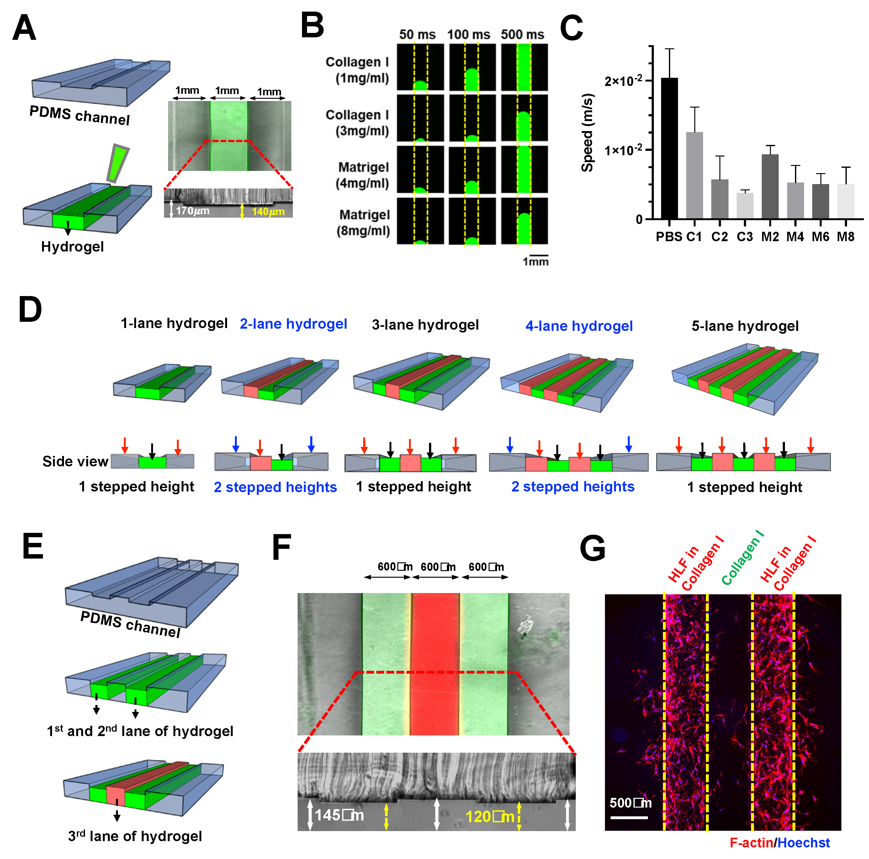 Biosensors 11 00509 g001