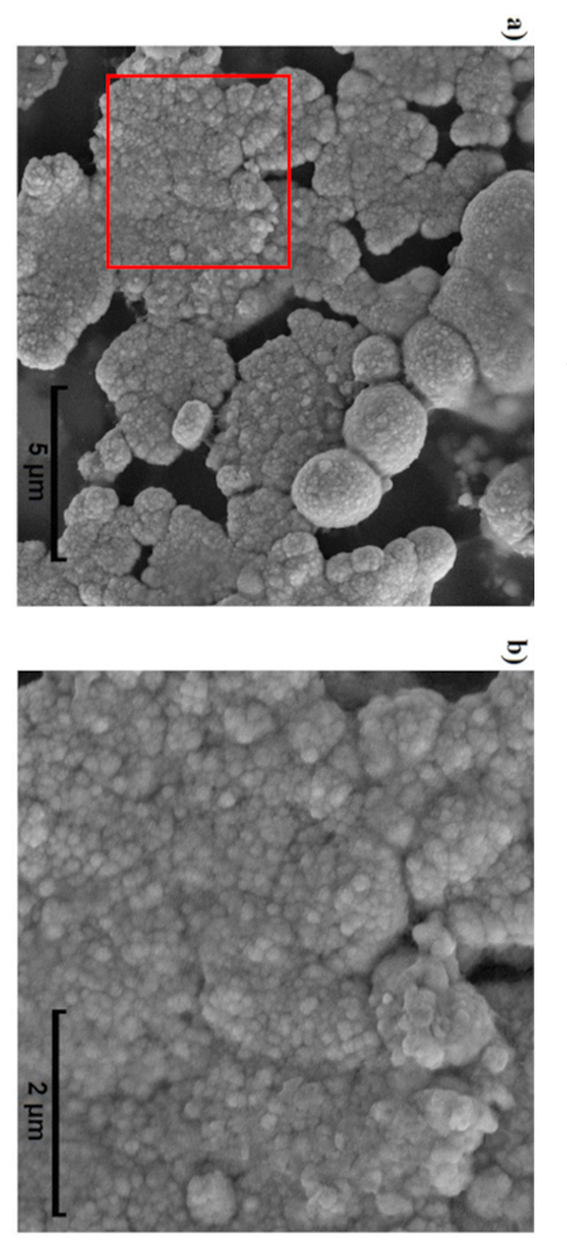 Biosensors 11 00511 g003 550