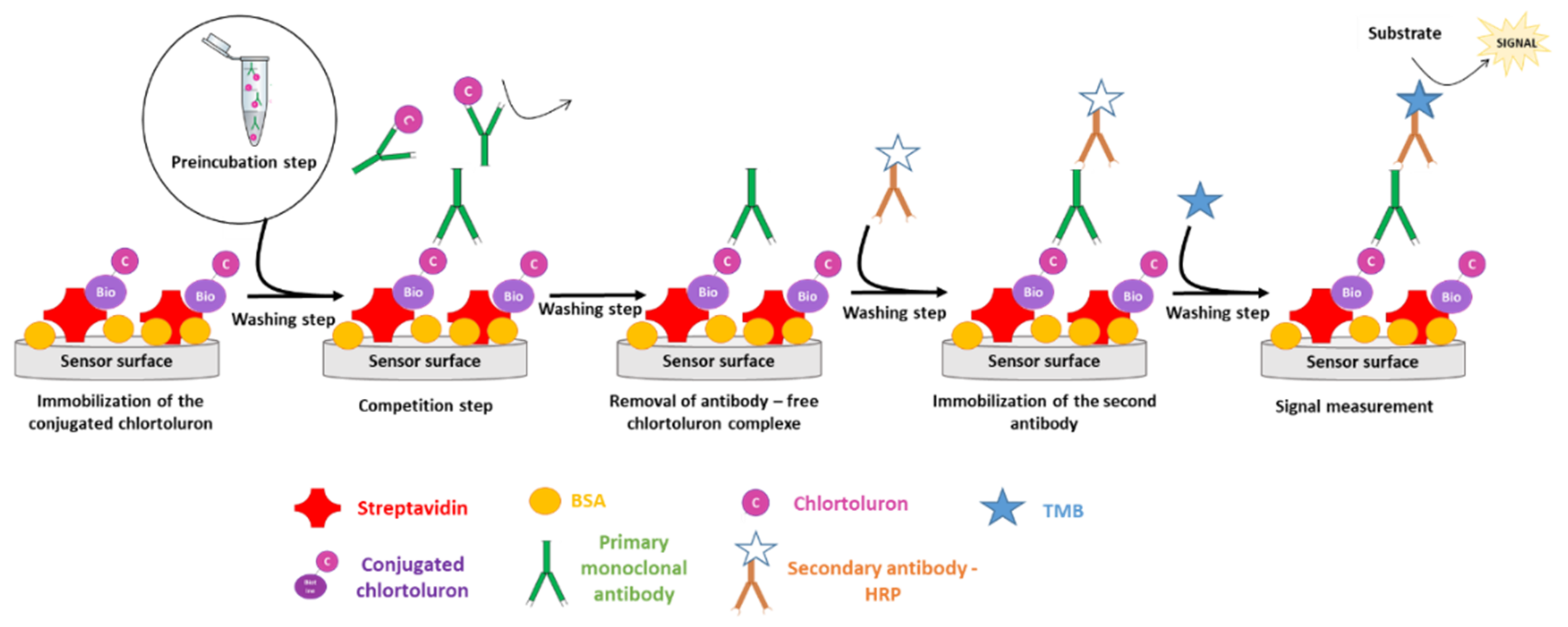 Biosensors 11 00513 g002 550
