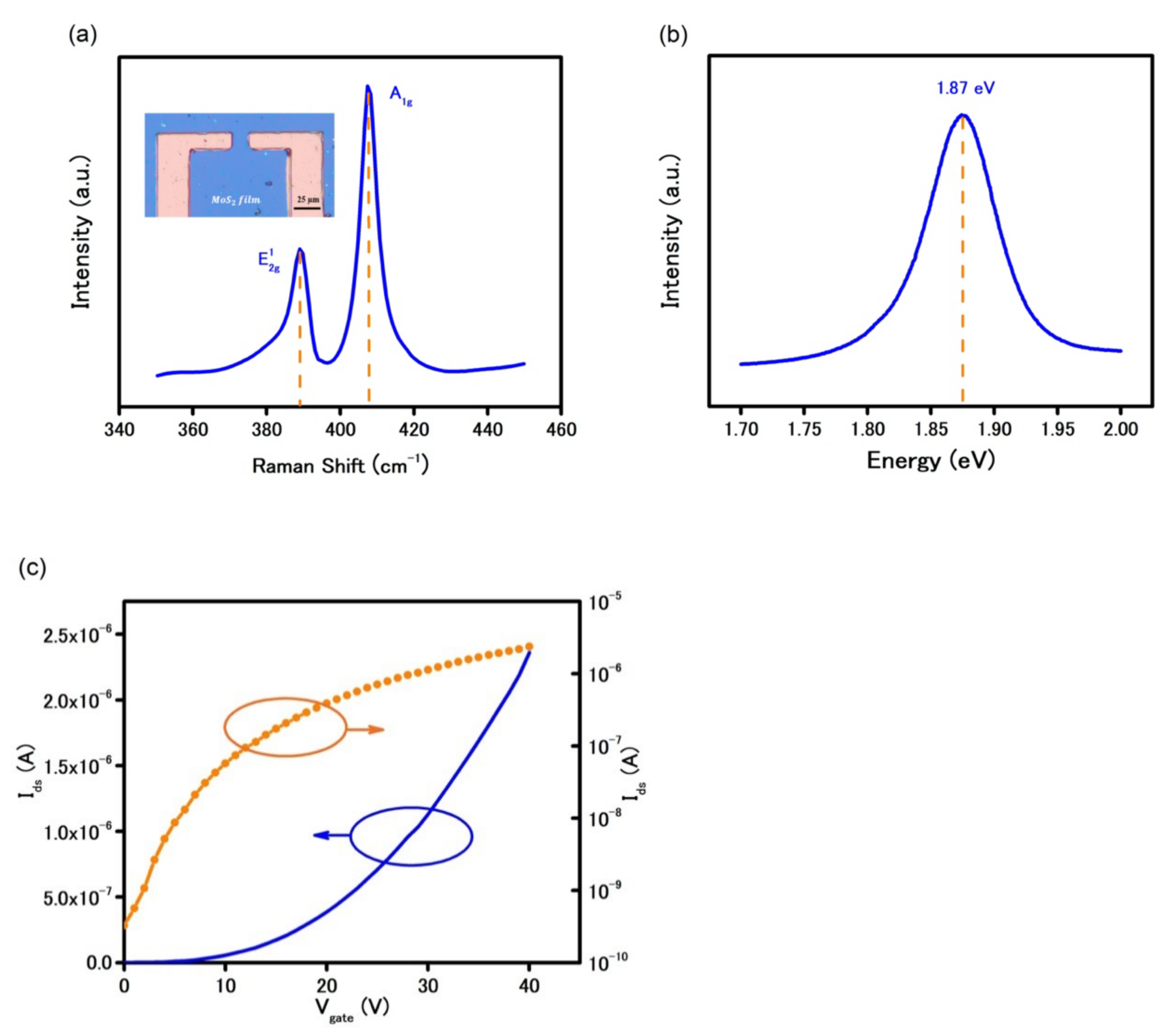 Biosensors 11 00514 g001 550