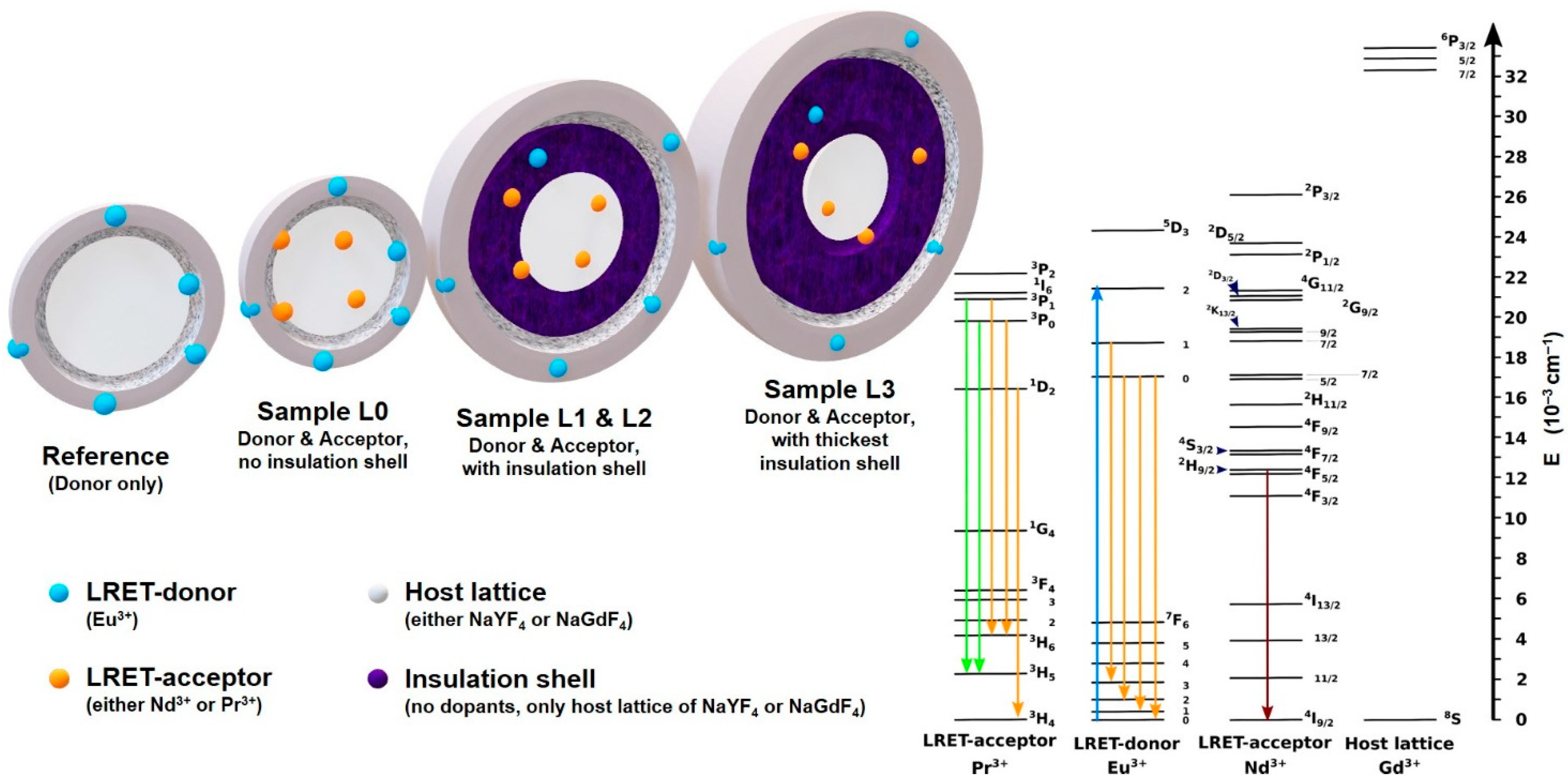Biosensors 11 00515 g001
