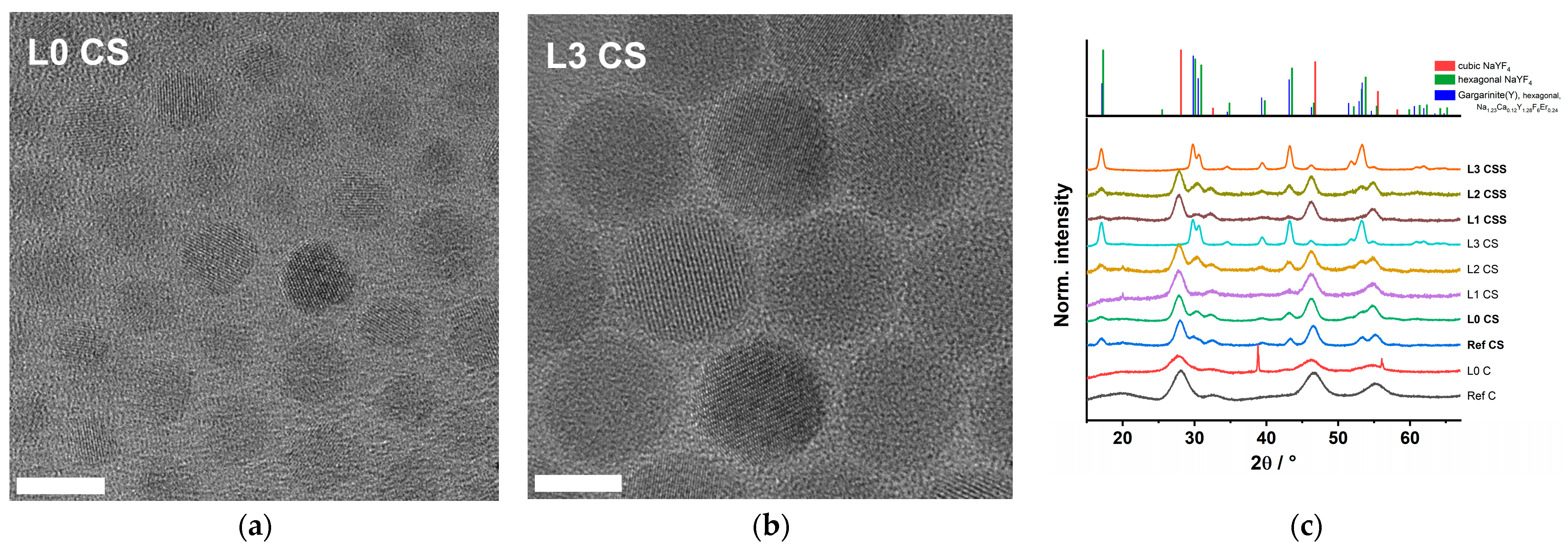 Biosensors 11 00515 g002