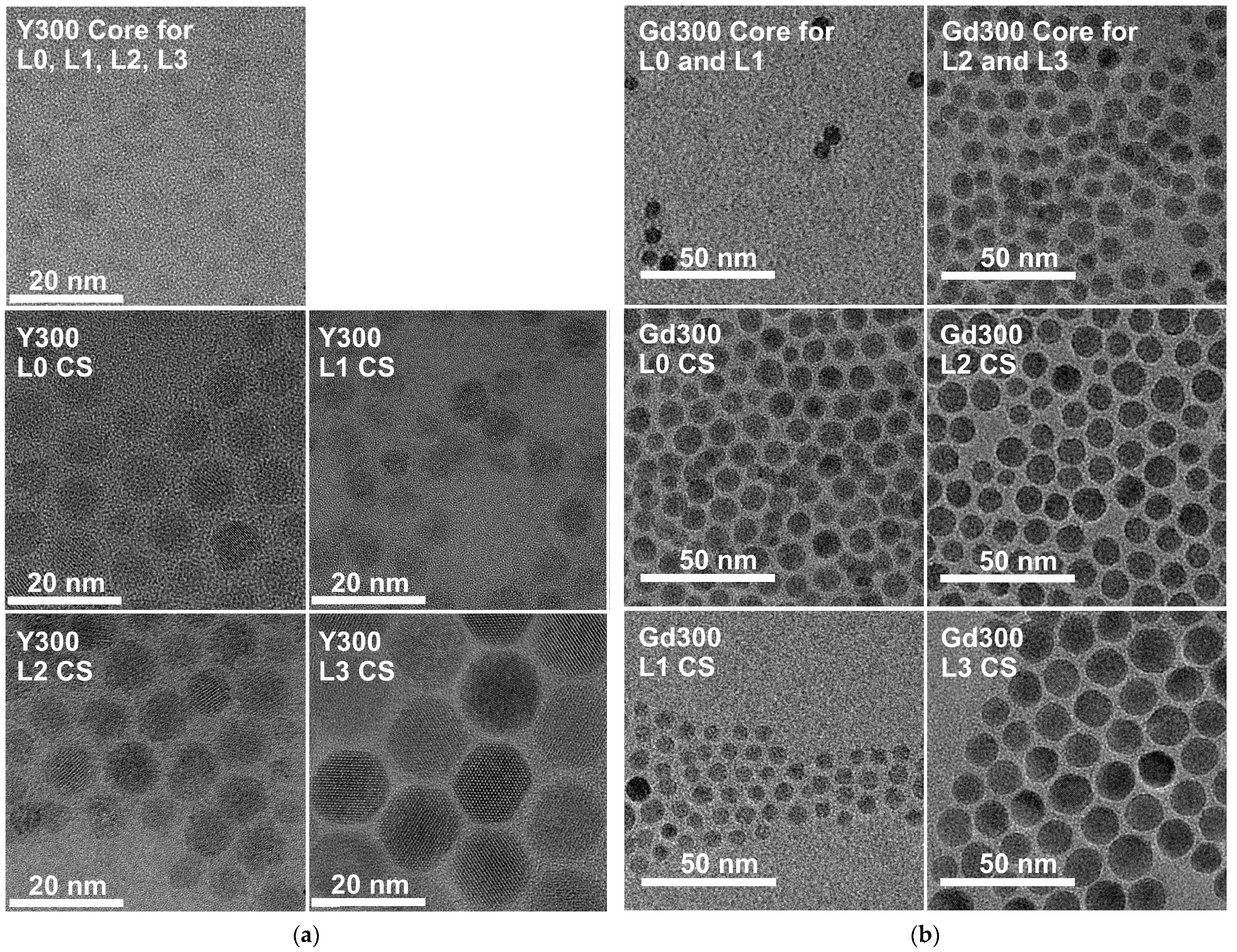 Biosensors 11 00515 g0a1