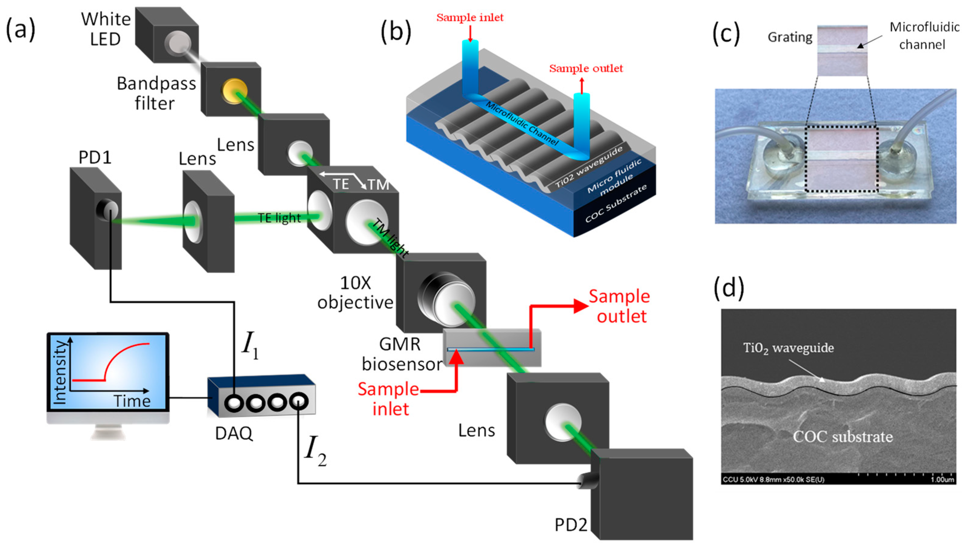 Biosensors 11 00523 g001
