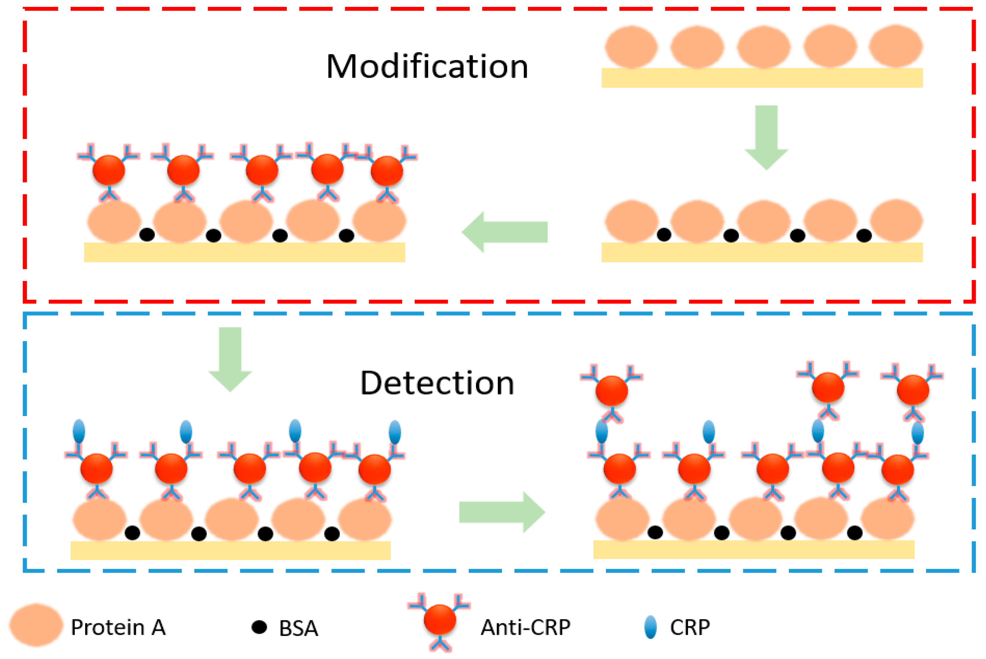 Biosensors 11 00523 g002