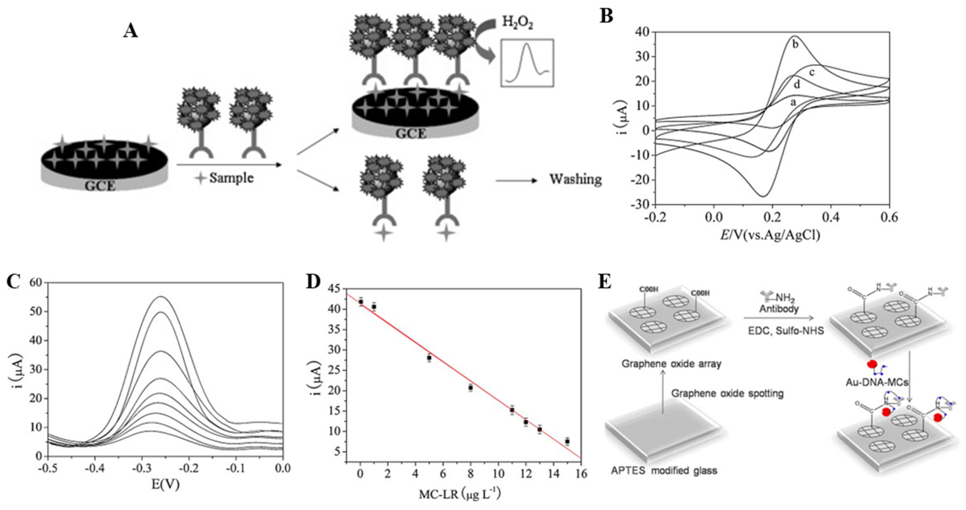 Biosensors 11 00525 g004