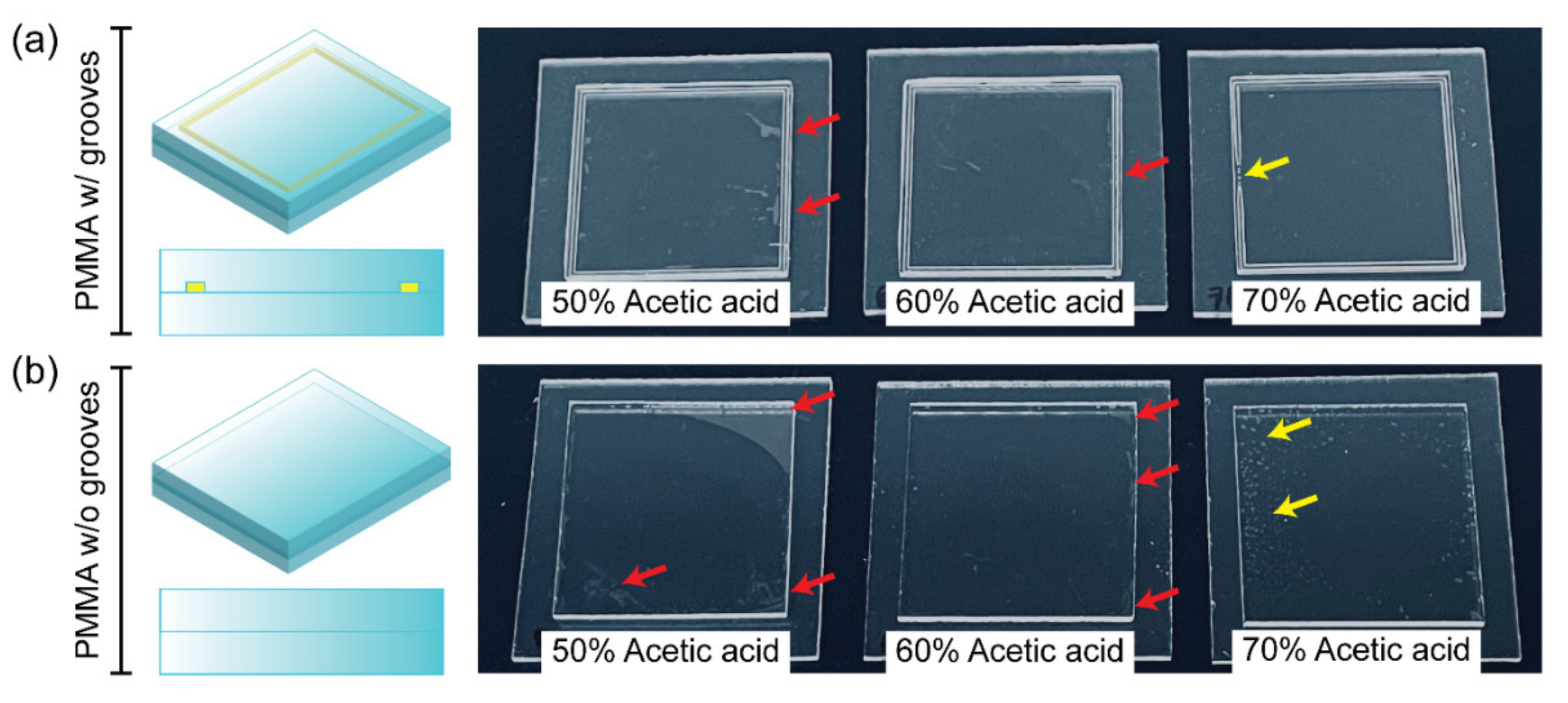 Biosensors 11 00526 g003 550