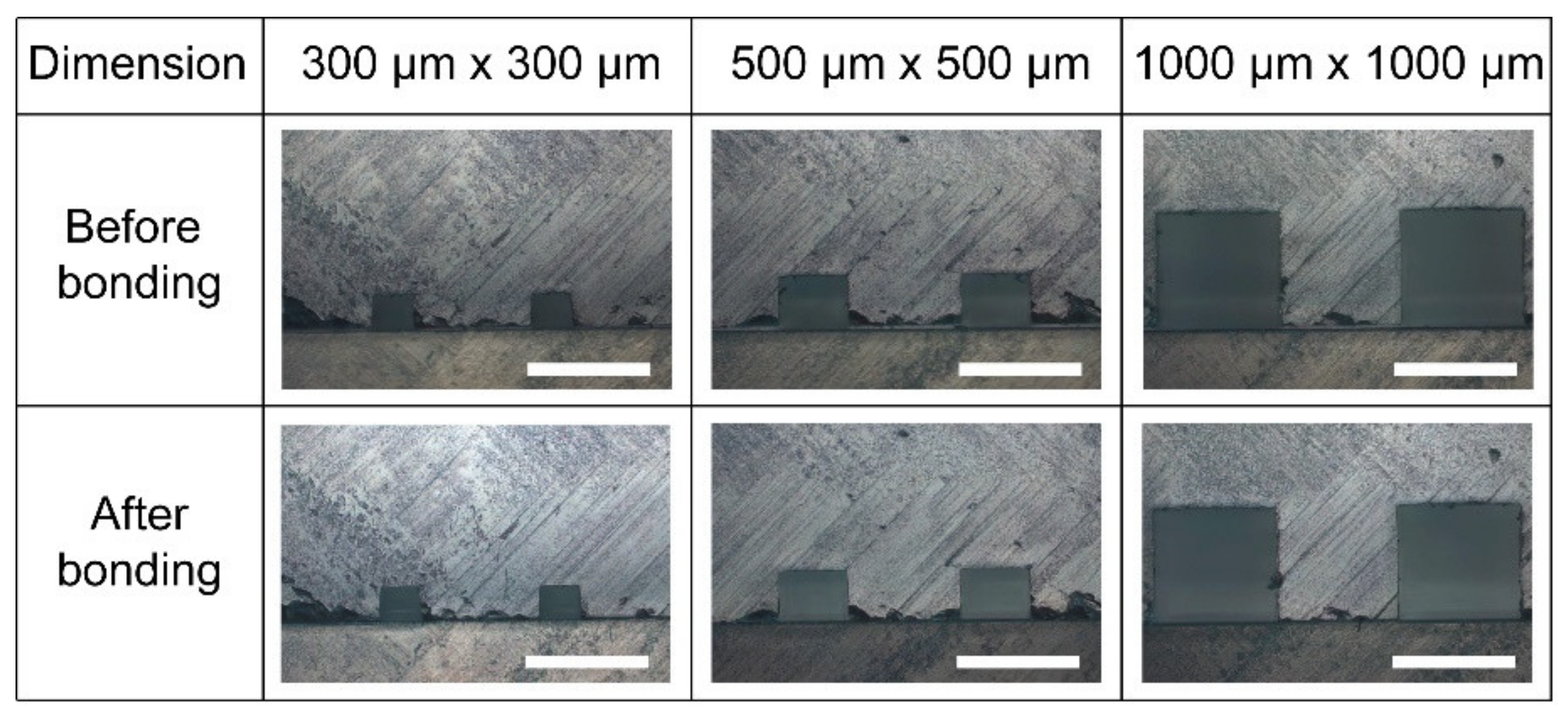 Biosensors 11 00526 g005 550