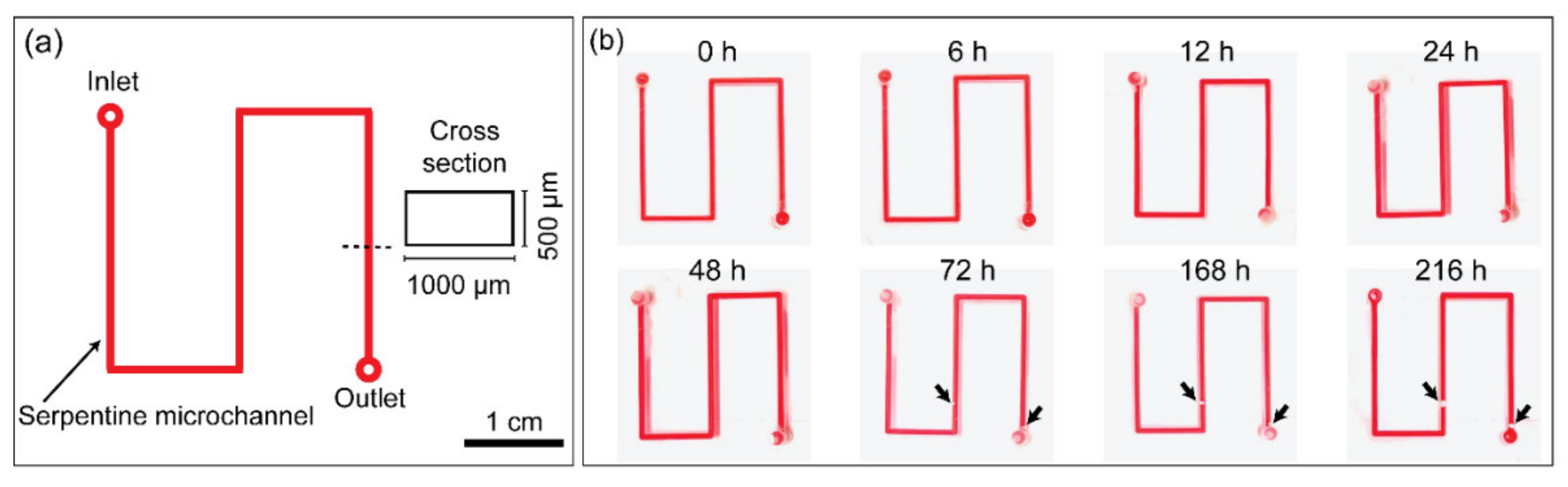 Biosensors 11 00526 g006 550