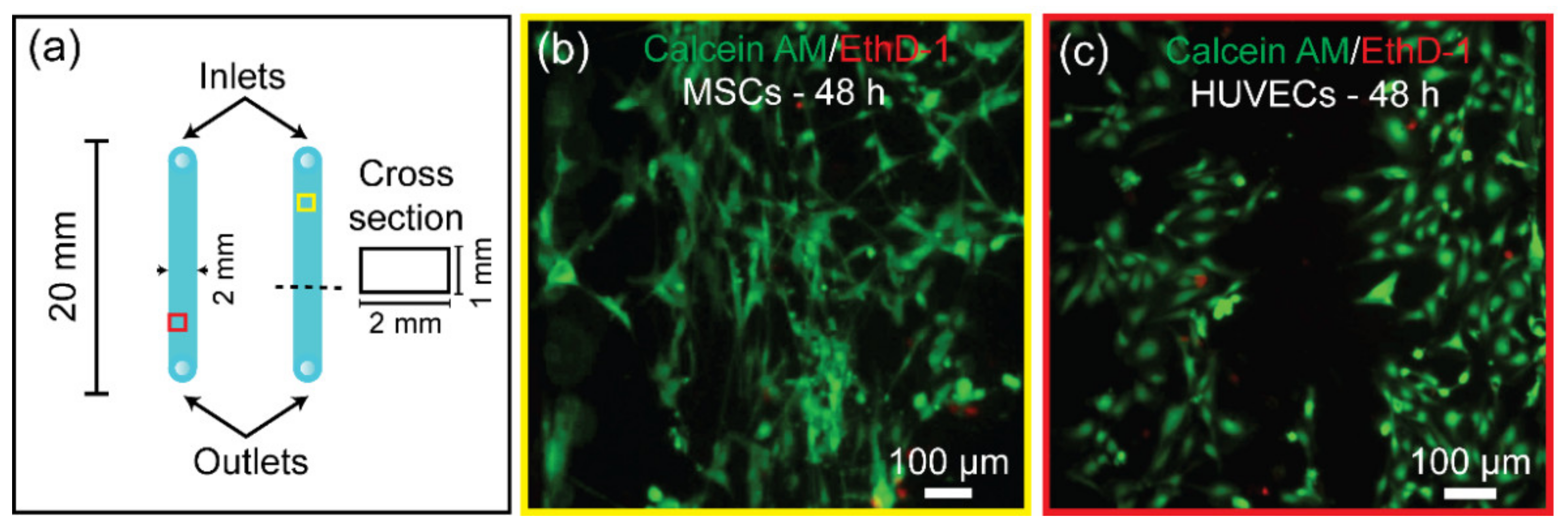 Biosensors 11 00526 g008 550