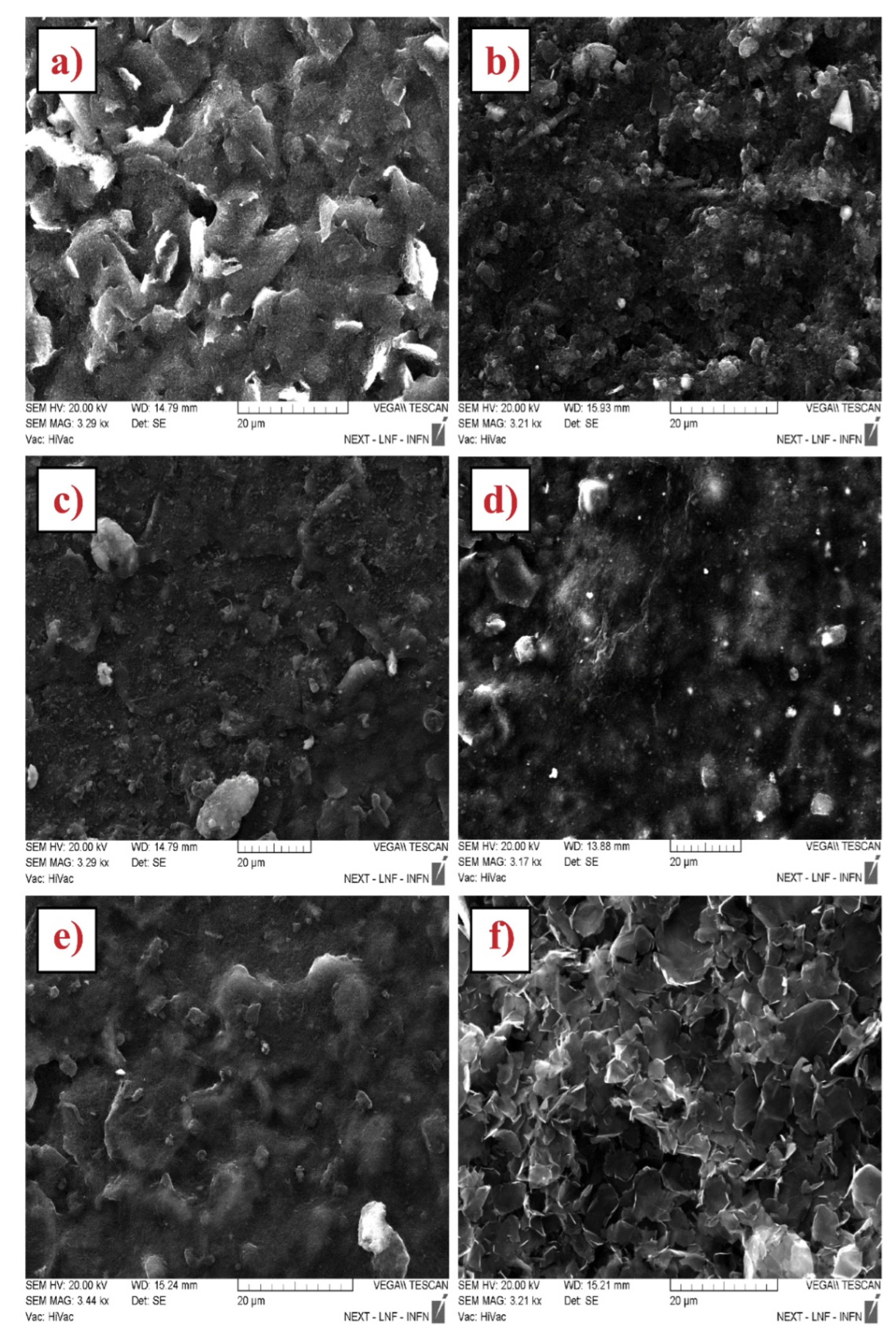 Biosensors 12 00002 g001