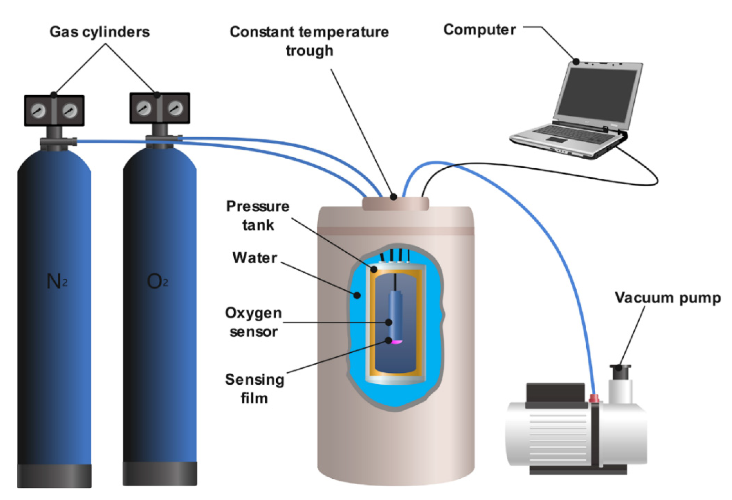 Biosensors 12 00005 g002 550