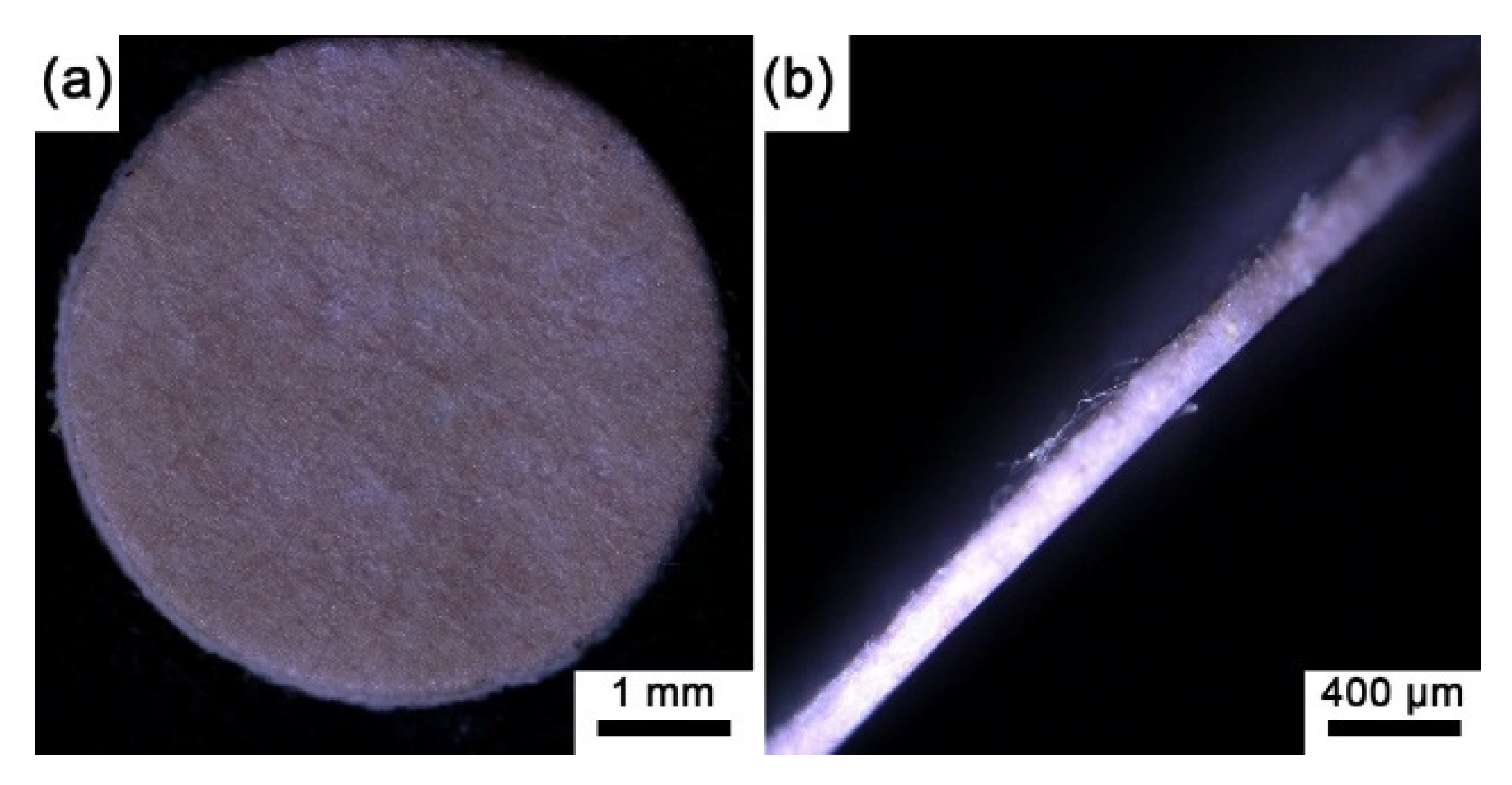 Biosensors 12 00005 g003 550