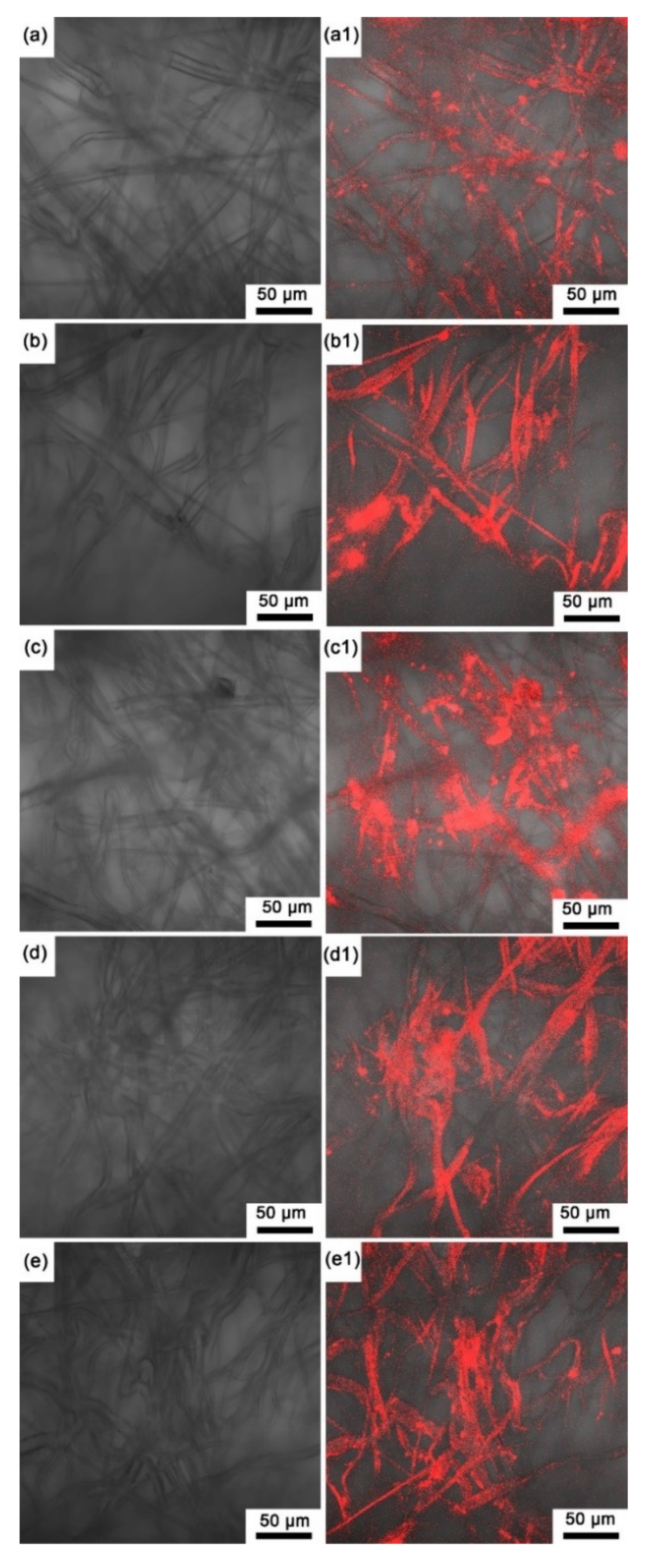 Biosensors 12 00005 g004 550