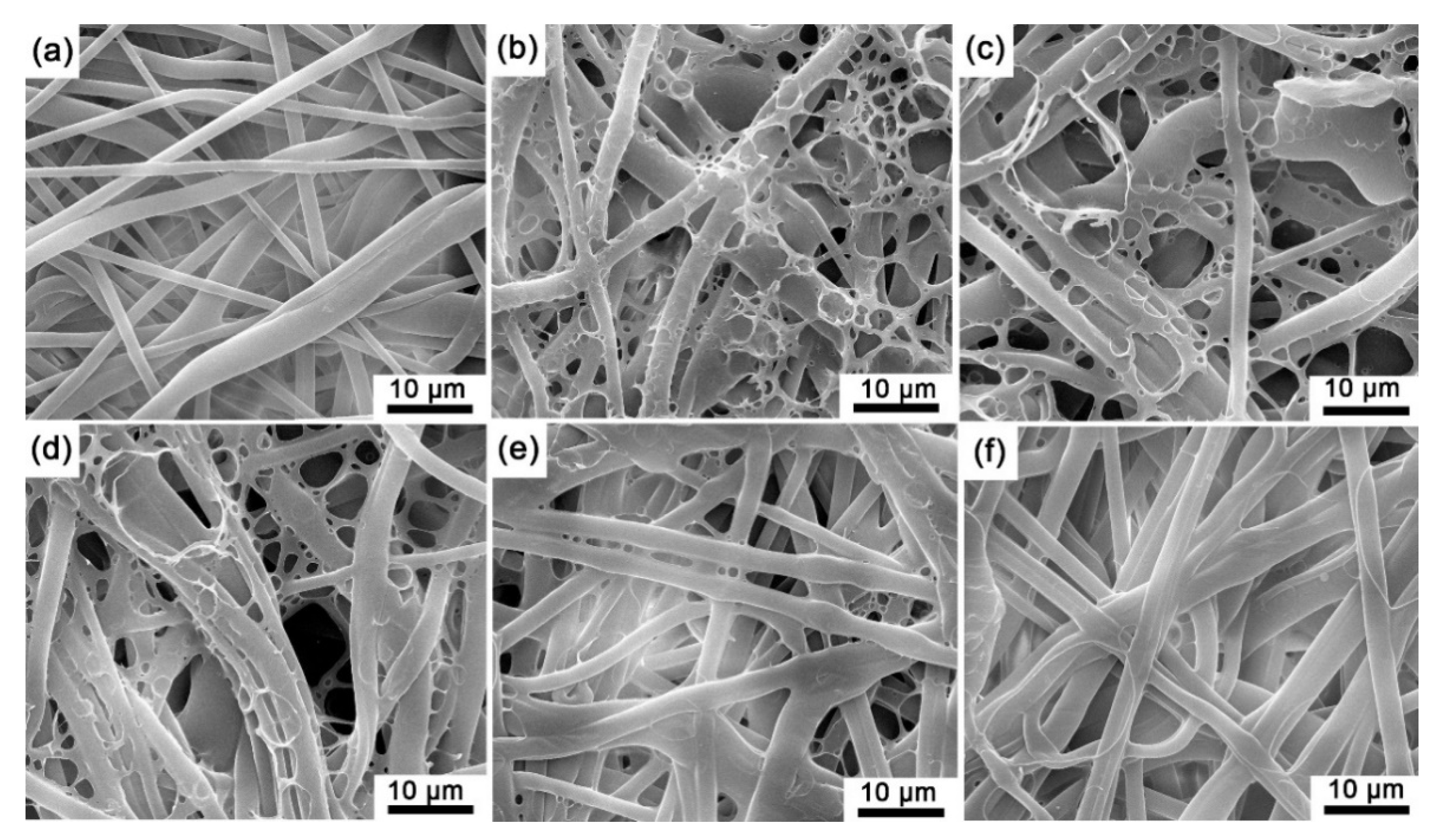 Biosensors 12 00005 g005 550