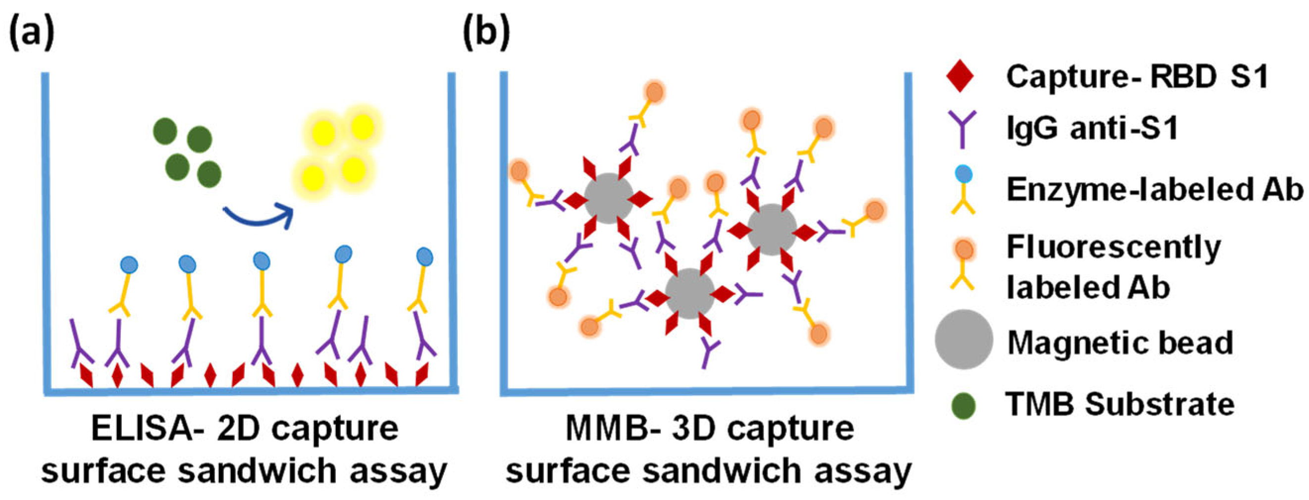 Biosensors 12 00007 g007