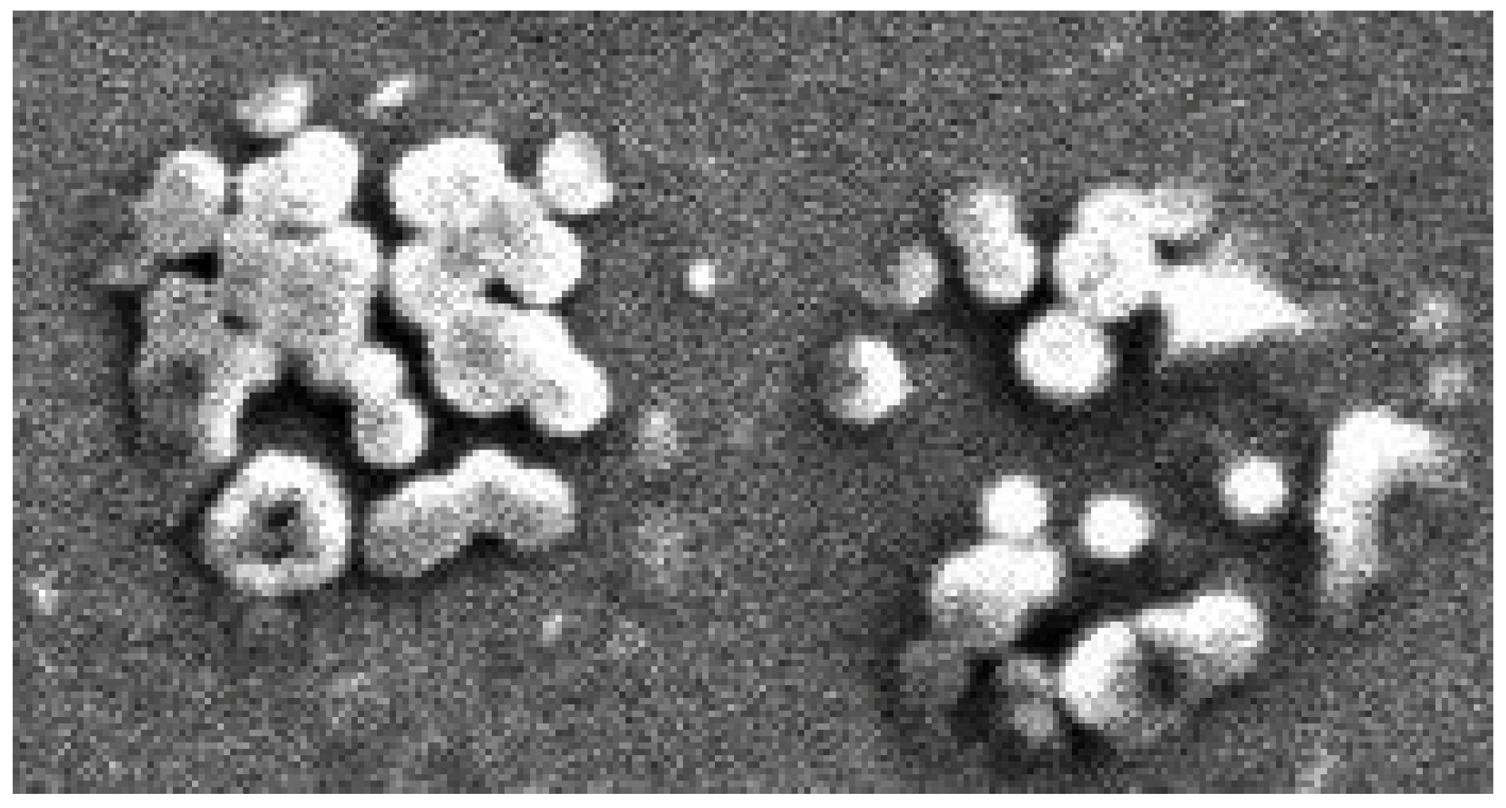 Biosensors 12 00008 g014 550