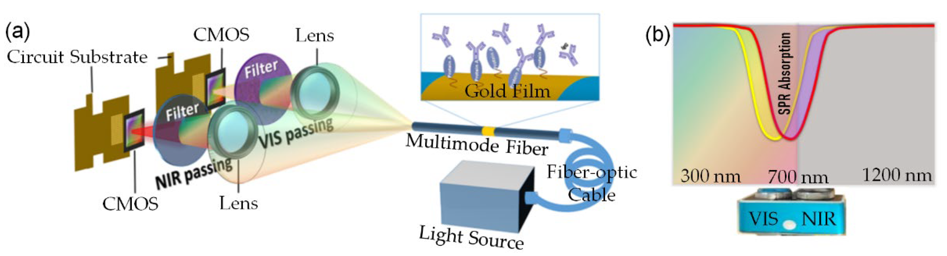 Biosensors 12 00009 g001