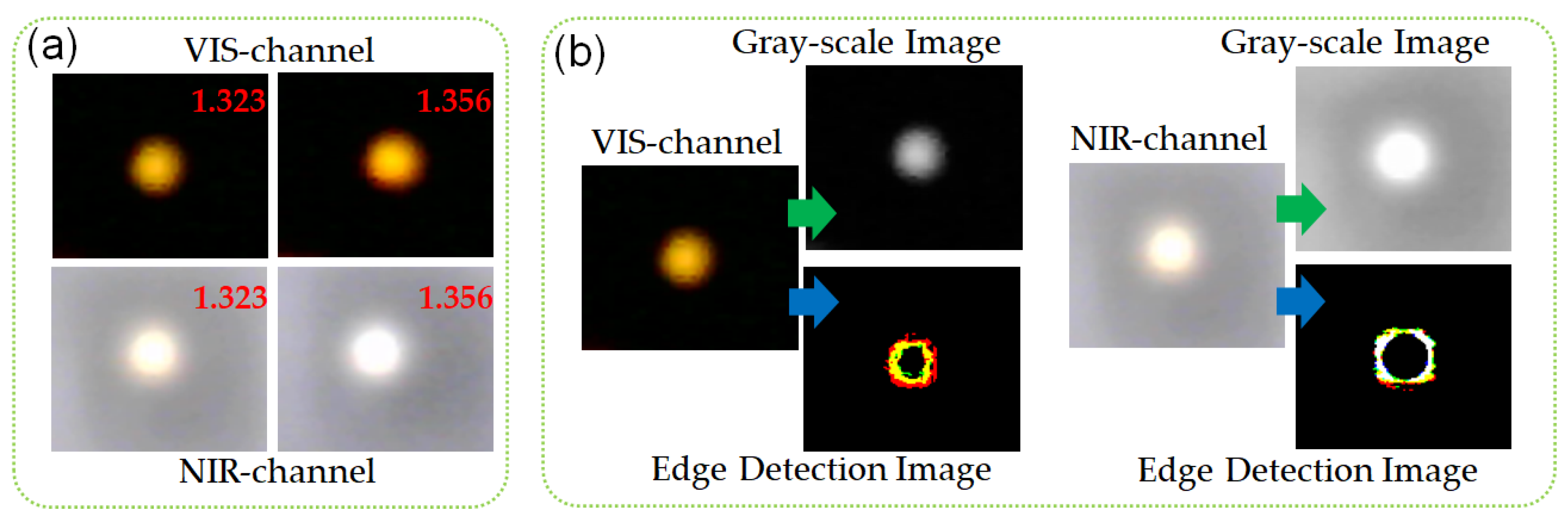 Biosensors 12 00009 g002