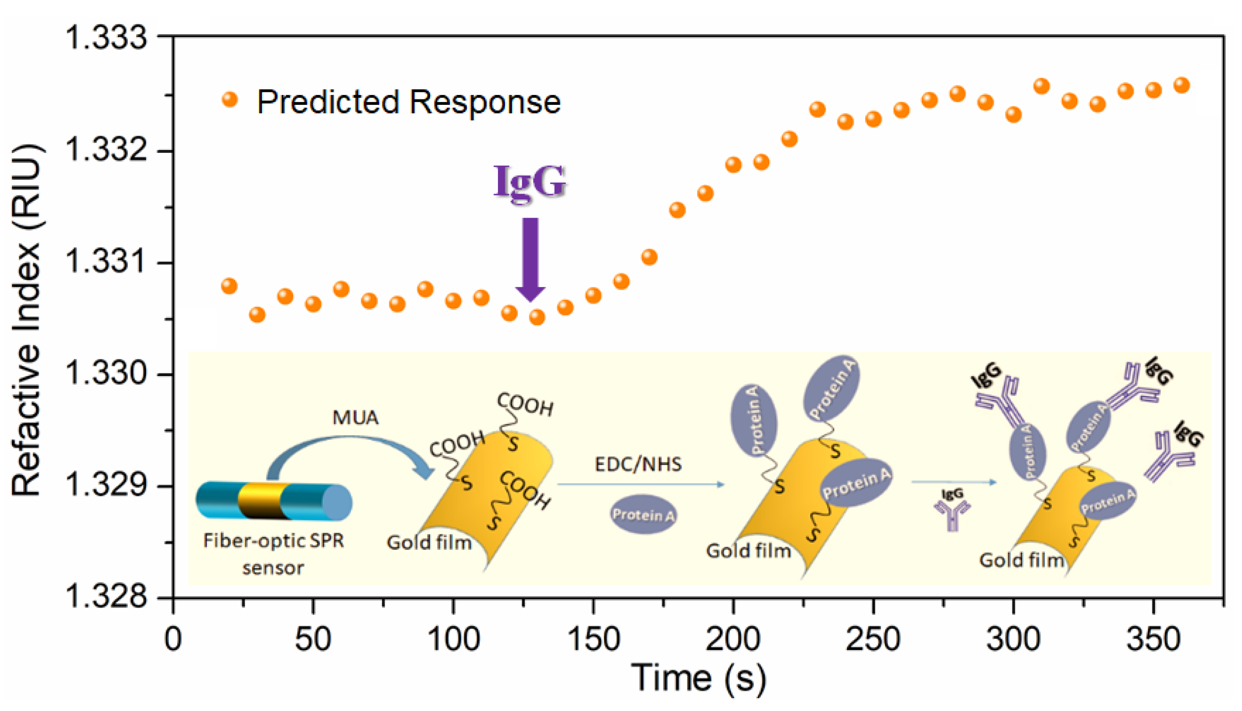 Biosensors 12 00009 g006