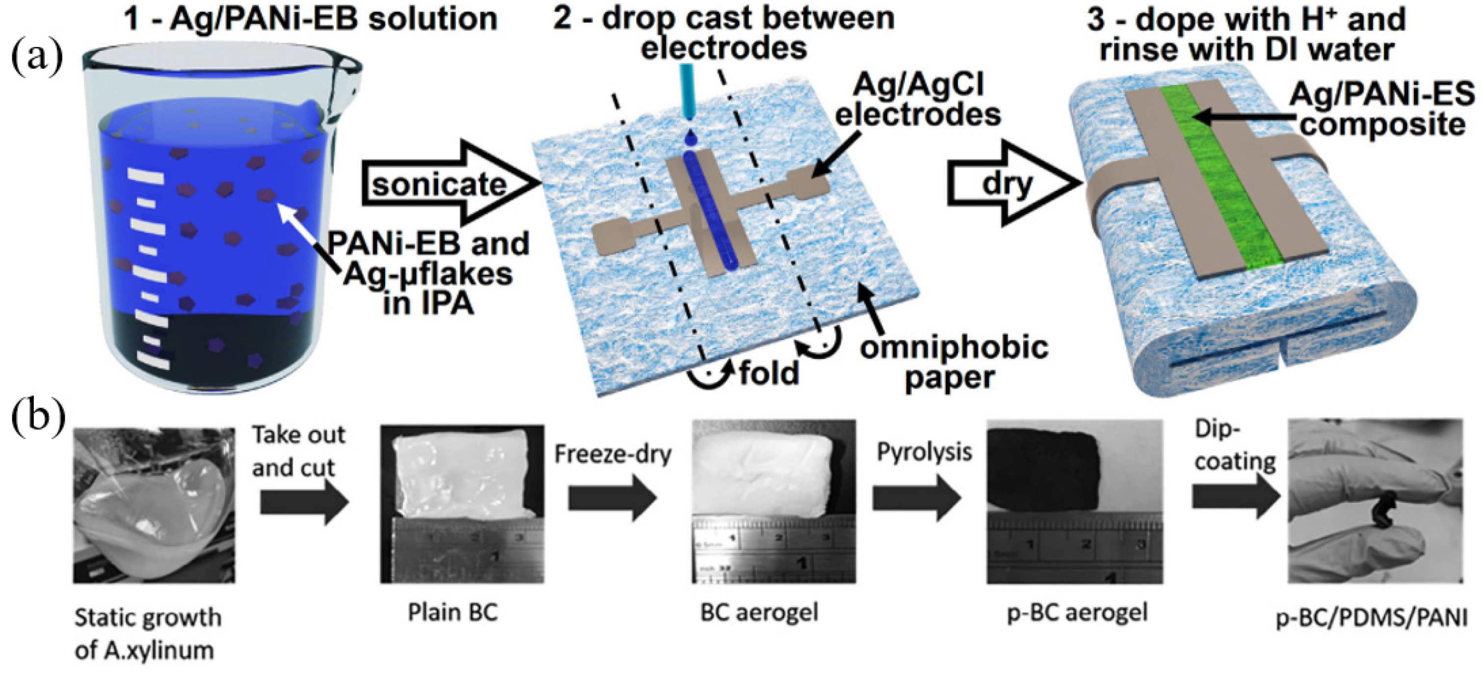 Biosensors 12 00010 g003 550