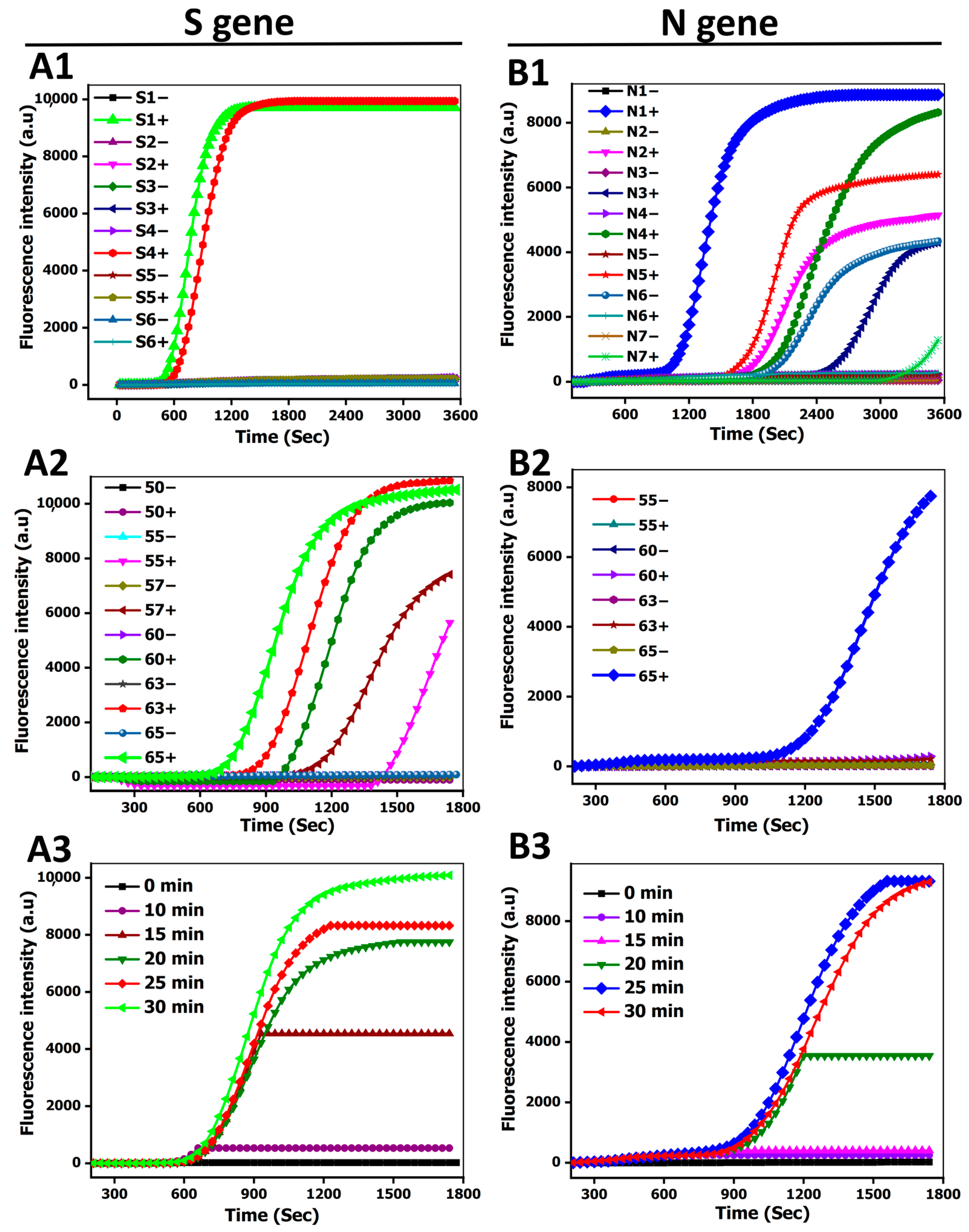 Biosensors 12 00011 g001
