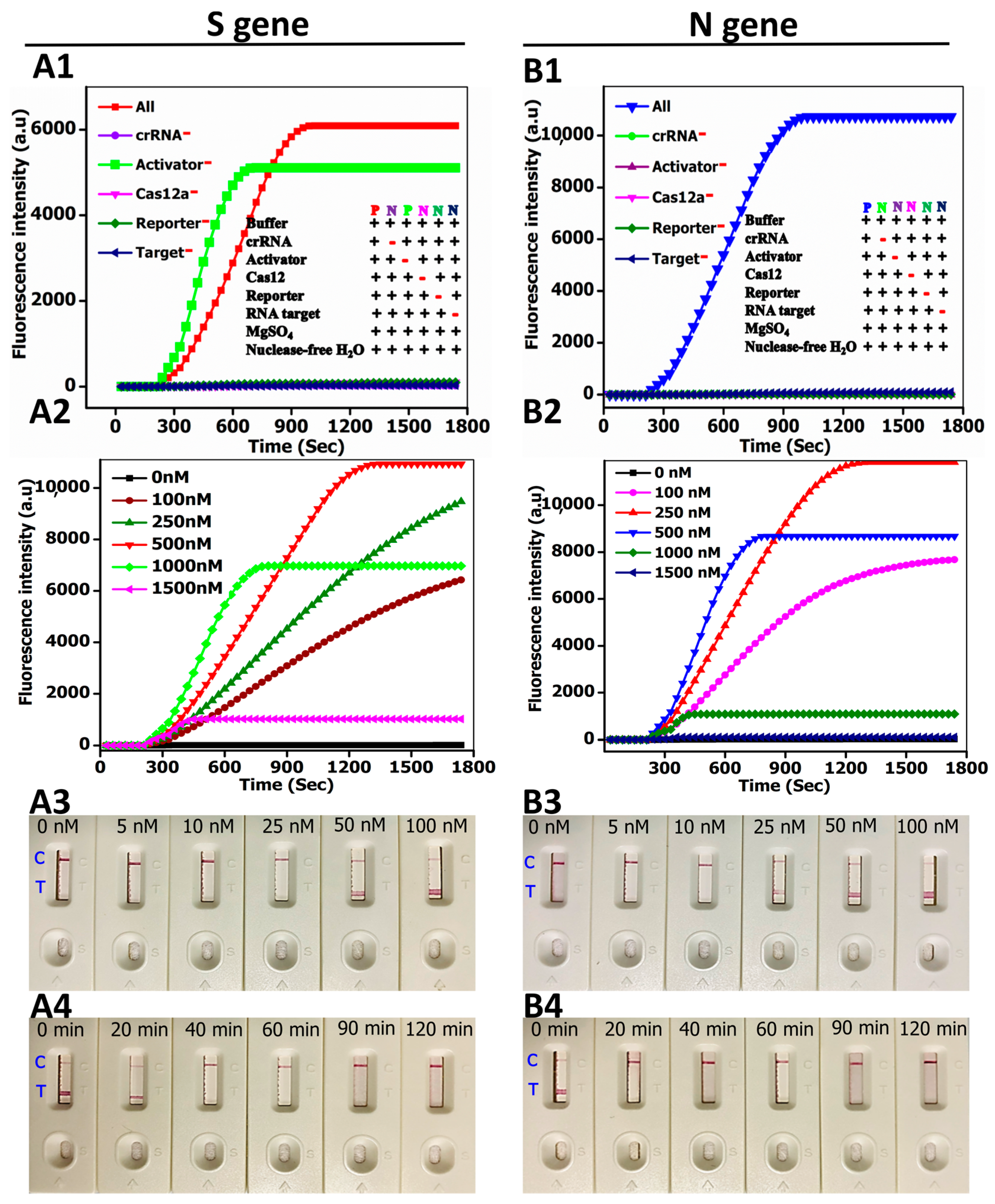 Biosensors 12 00011 g002
