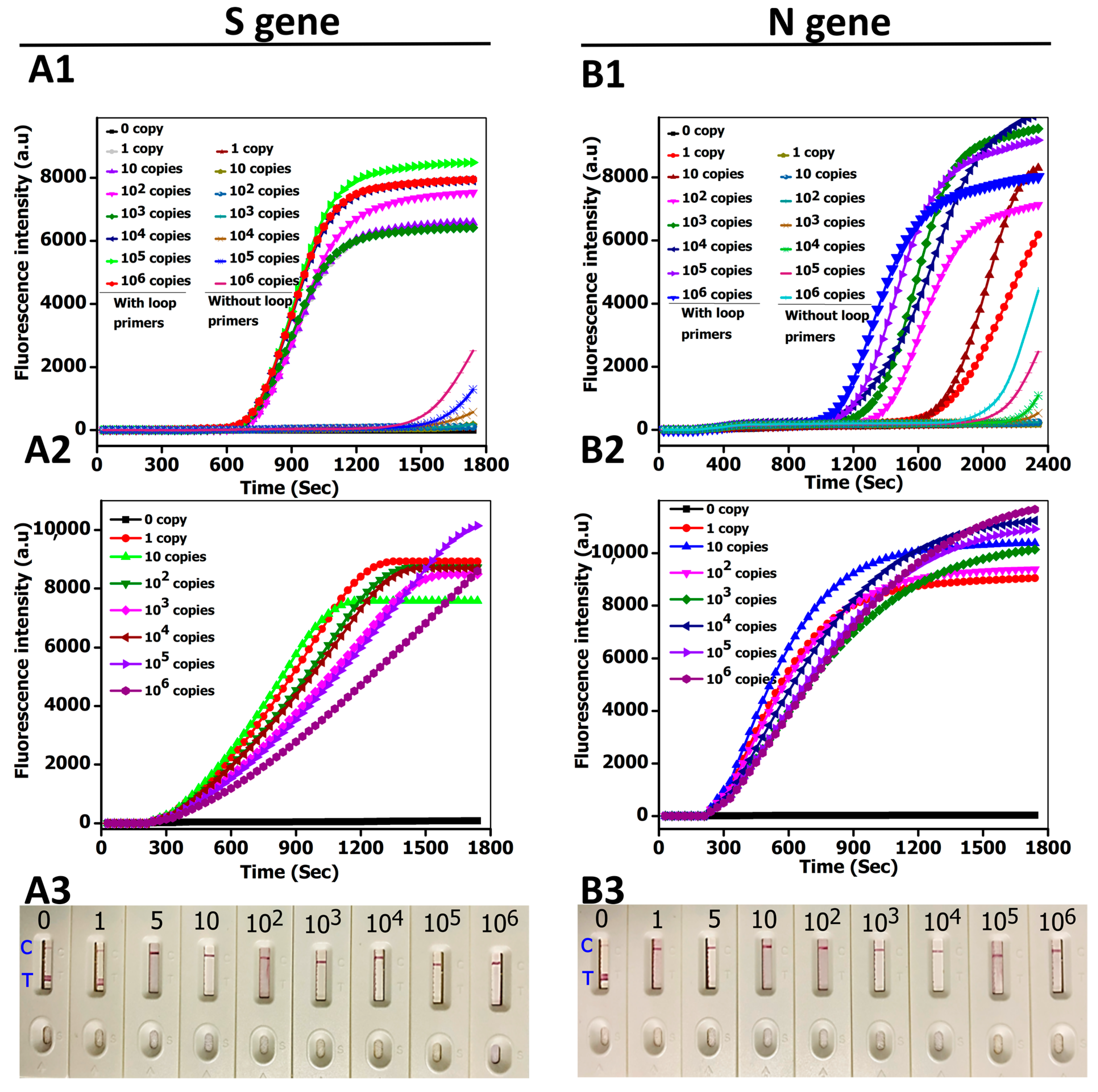 Biosensors 12 00011 g003