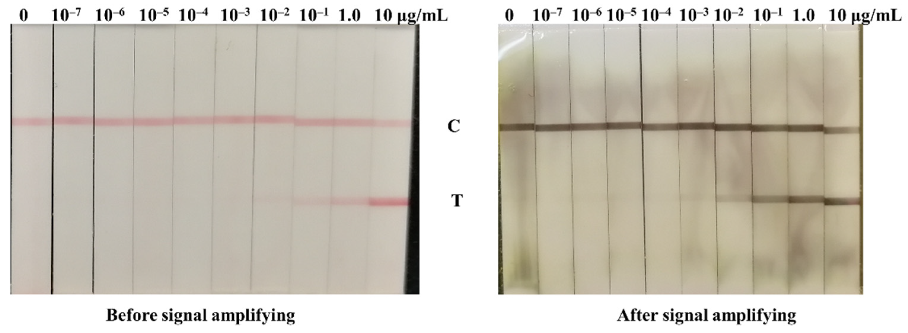 Biosensors 12 00013 g002