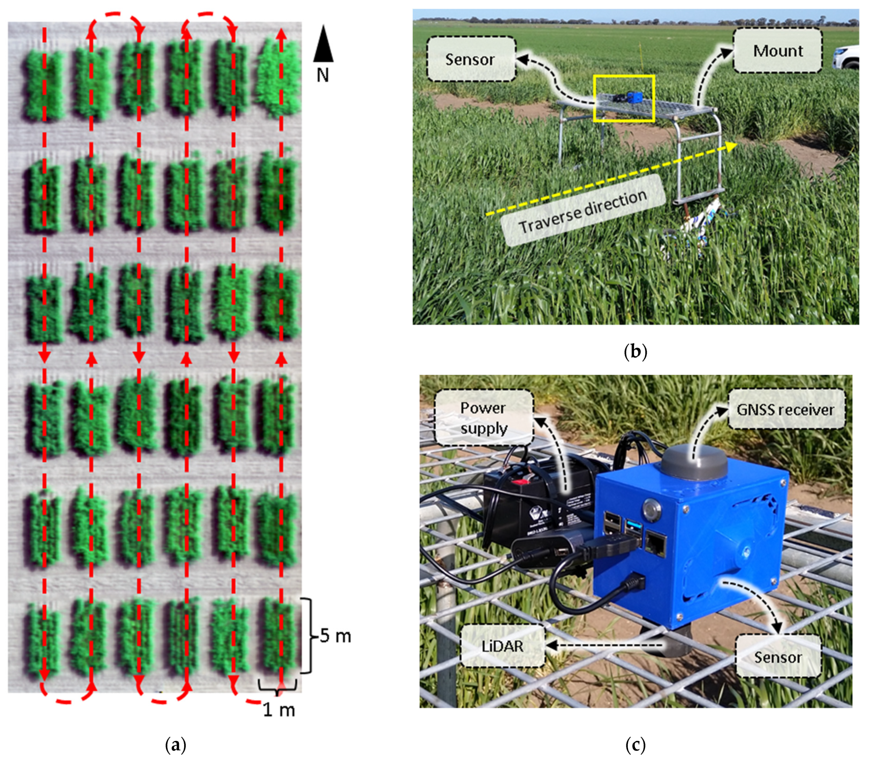 Biosensors 12 00016 g004 550