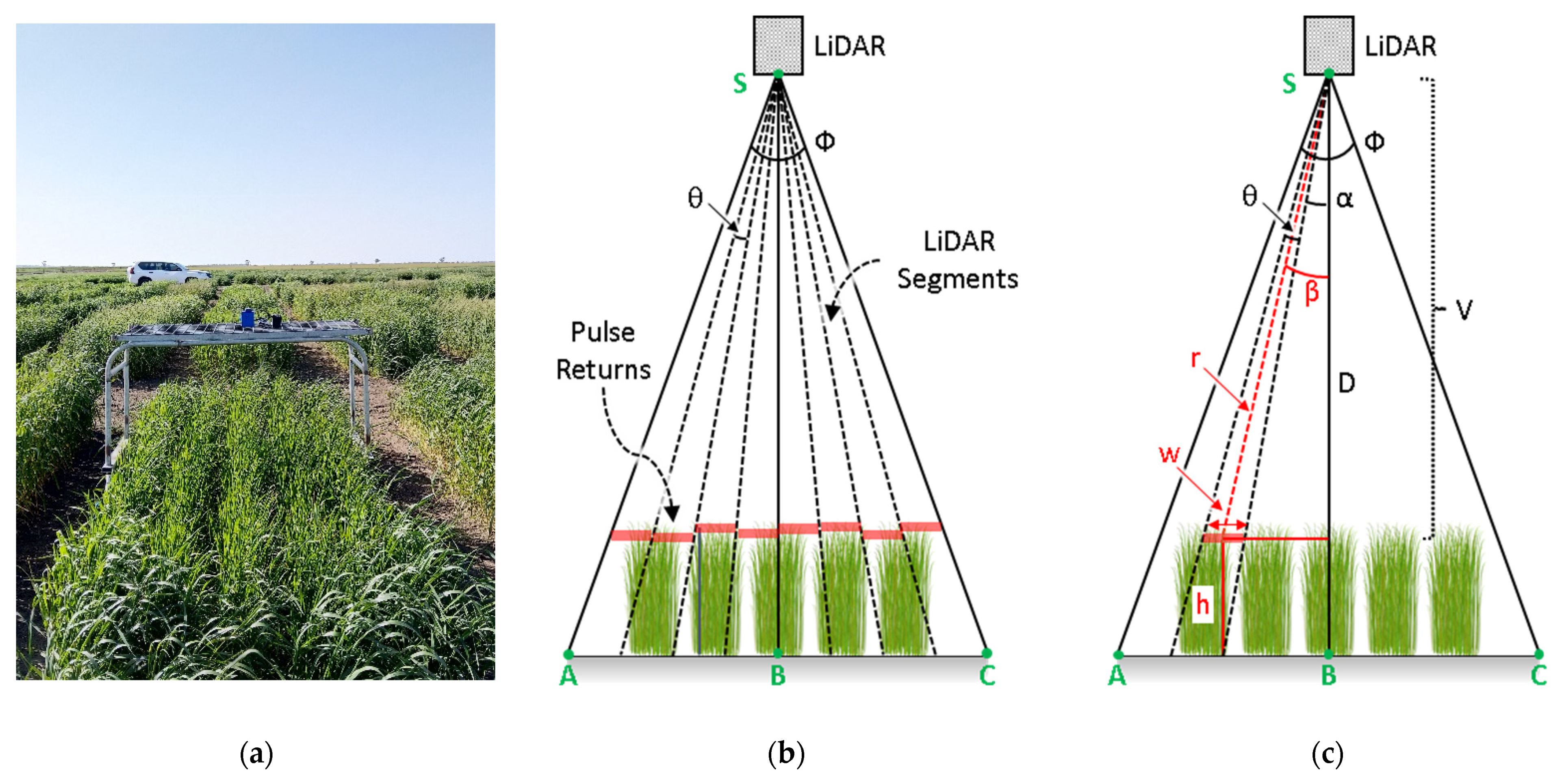 Biosensors 12 00016 g005 550