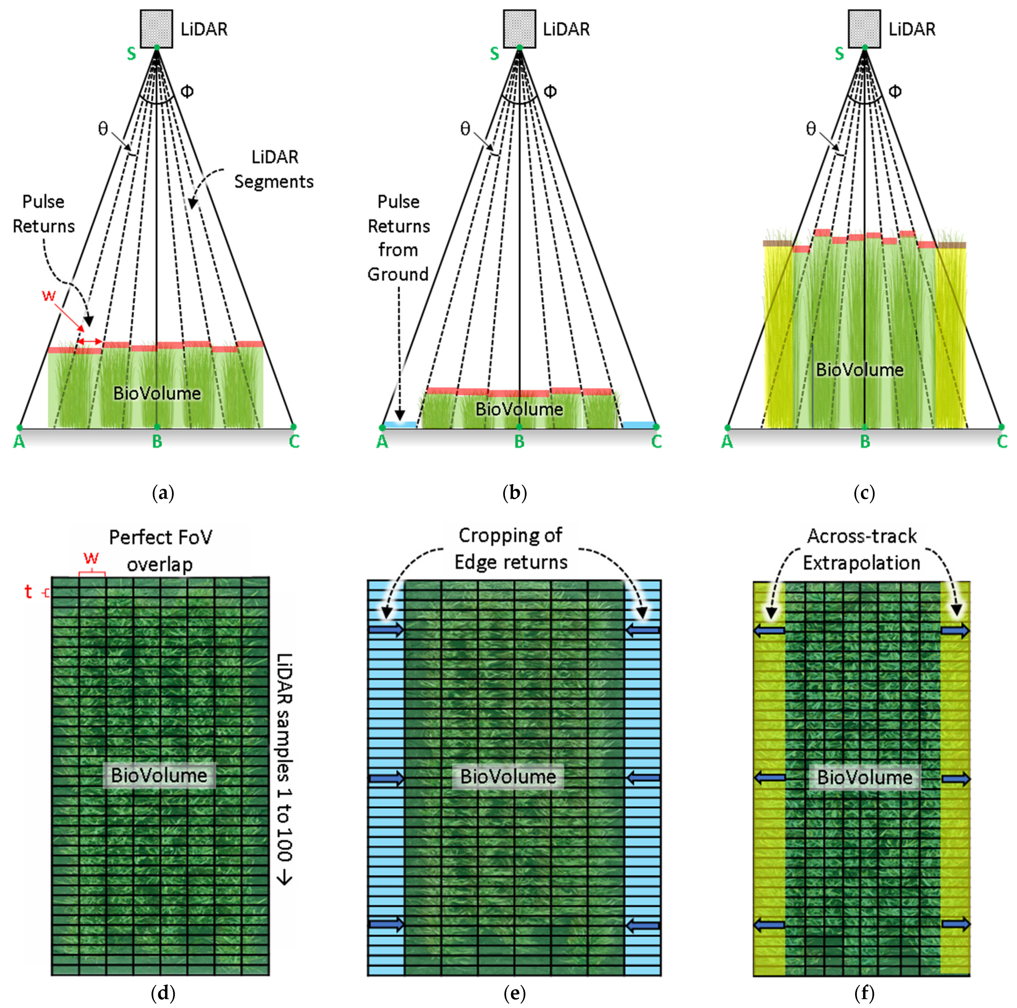 Biosensors 12 00016 g007 550