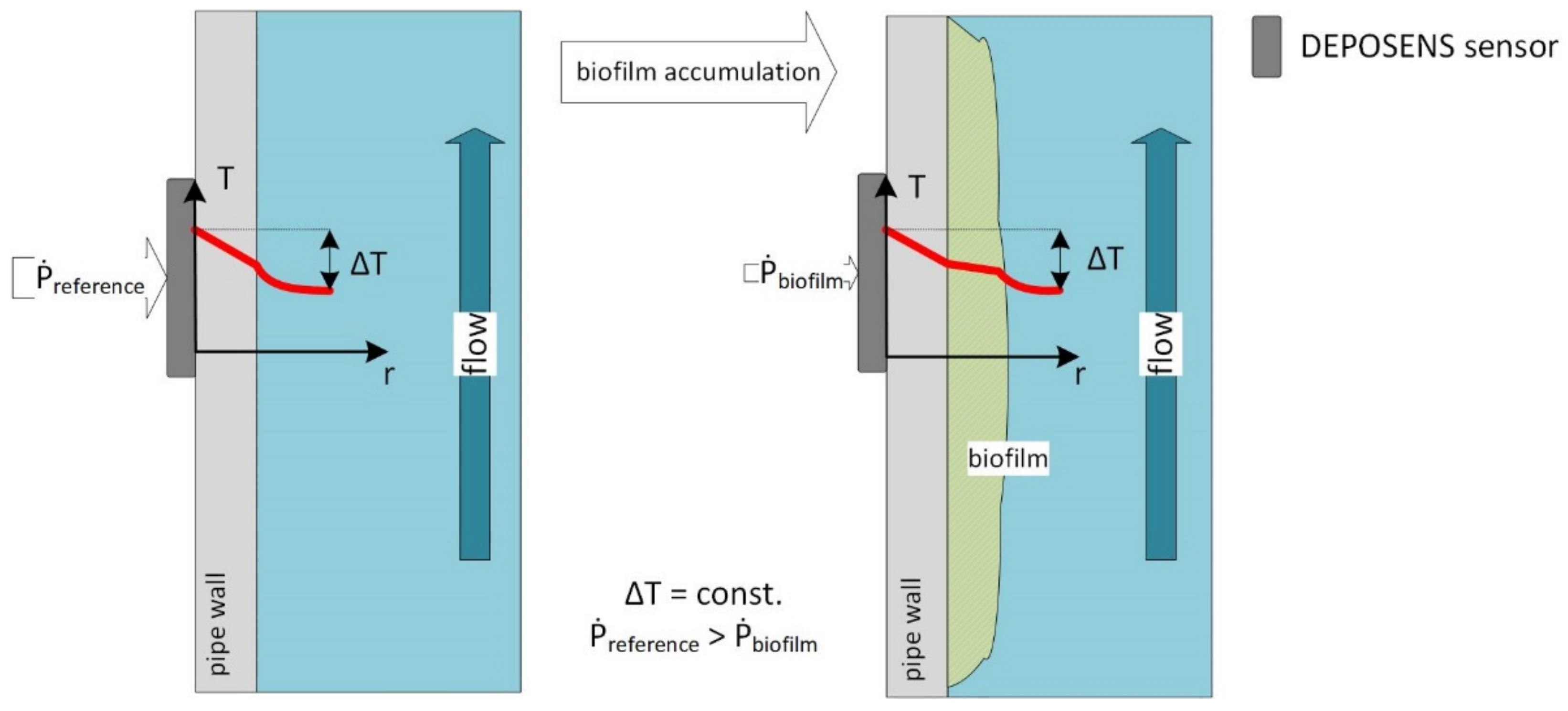 Biosensors 12 00018 g001