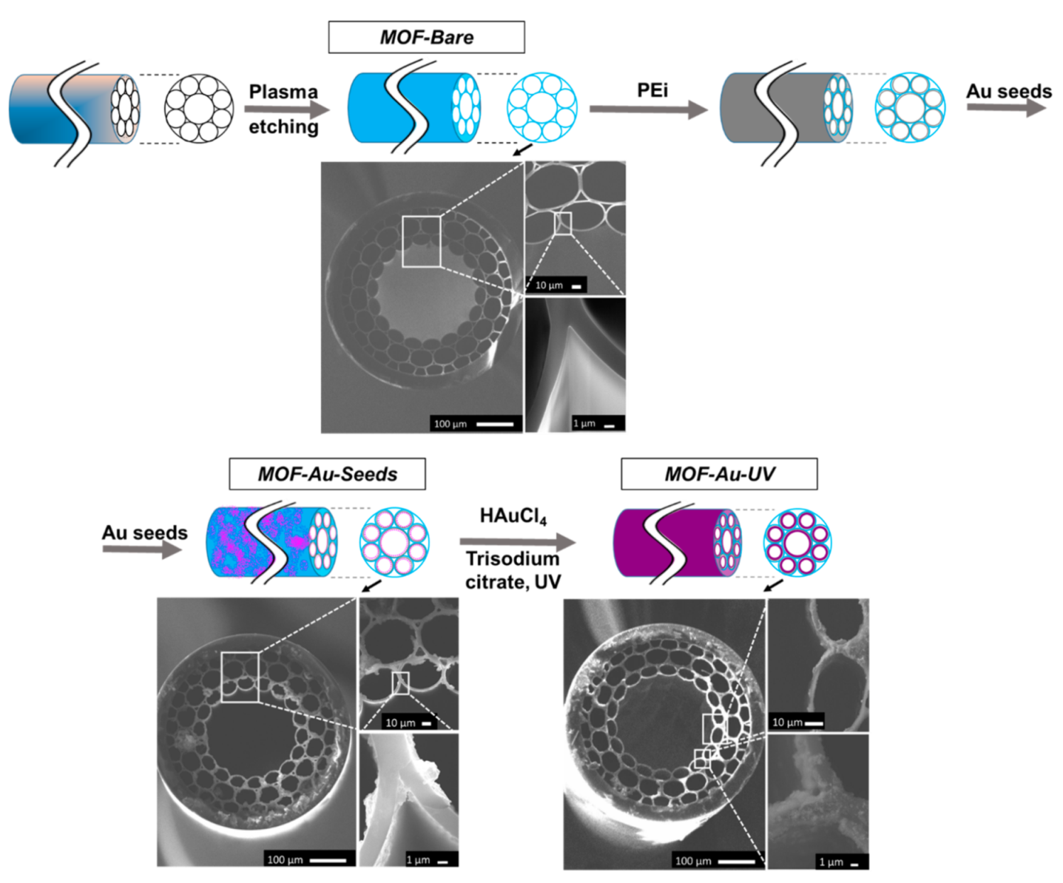 Biosensors 12 00019 g004 550