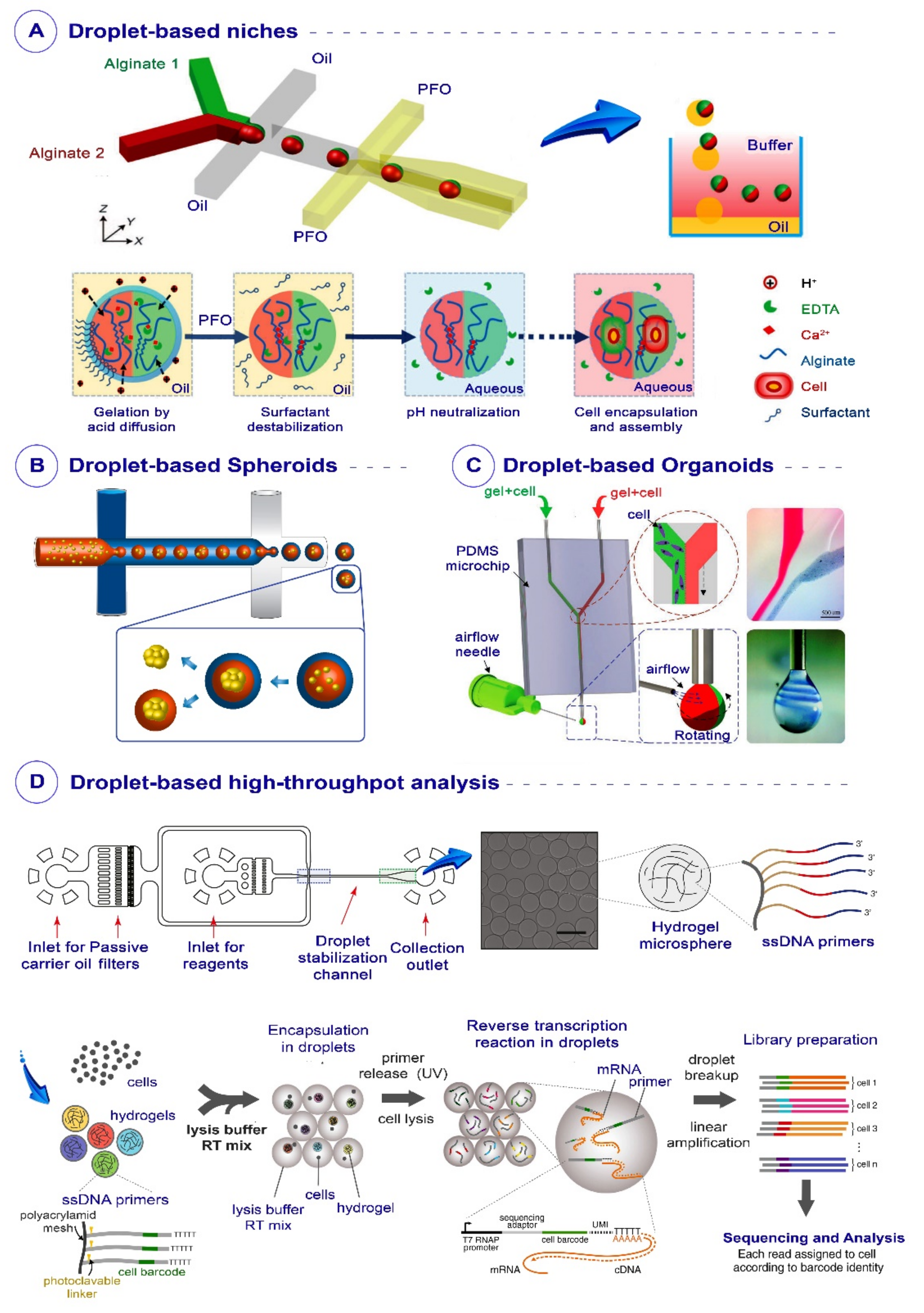 Biosensors 12 00020 g004