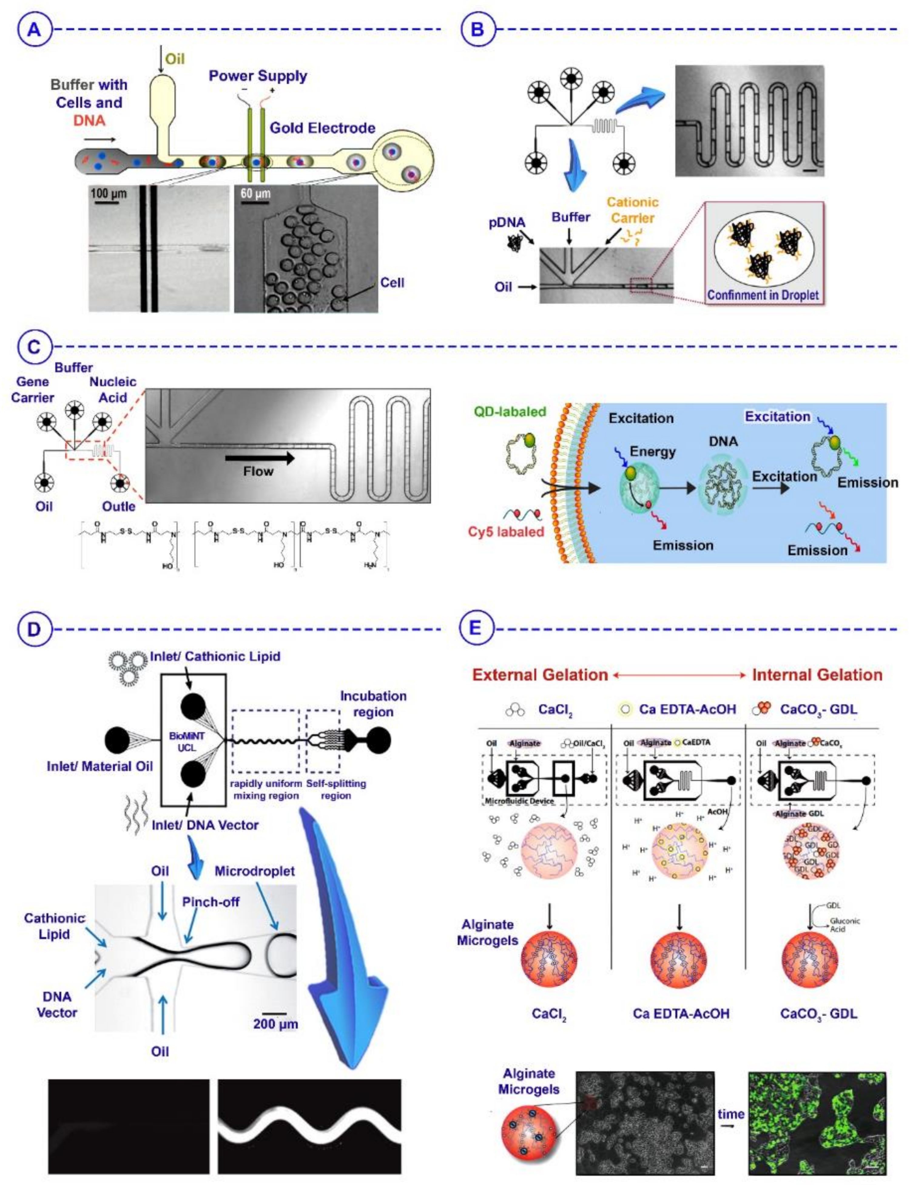 Biosensors 12 00020 g006