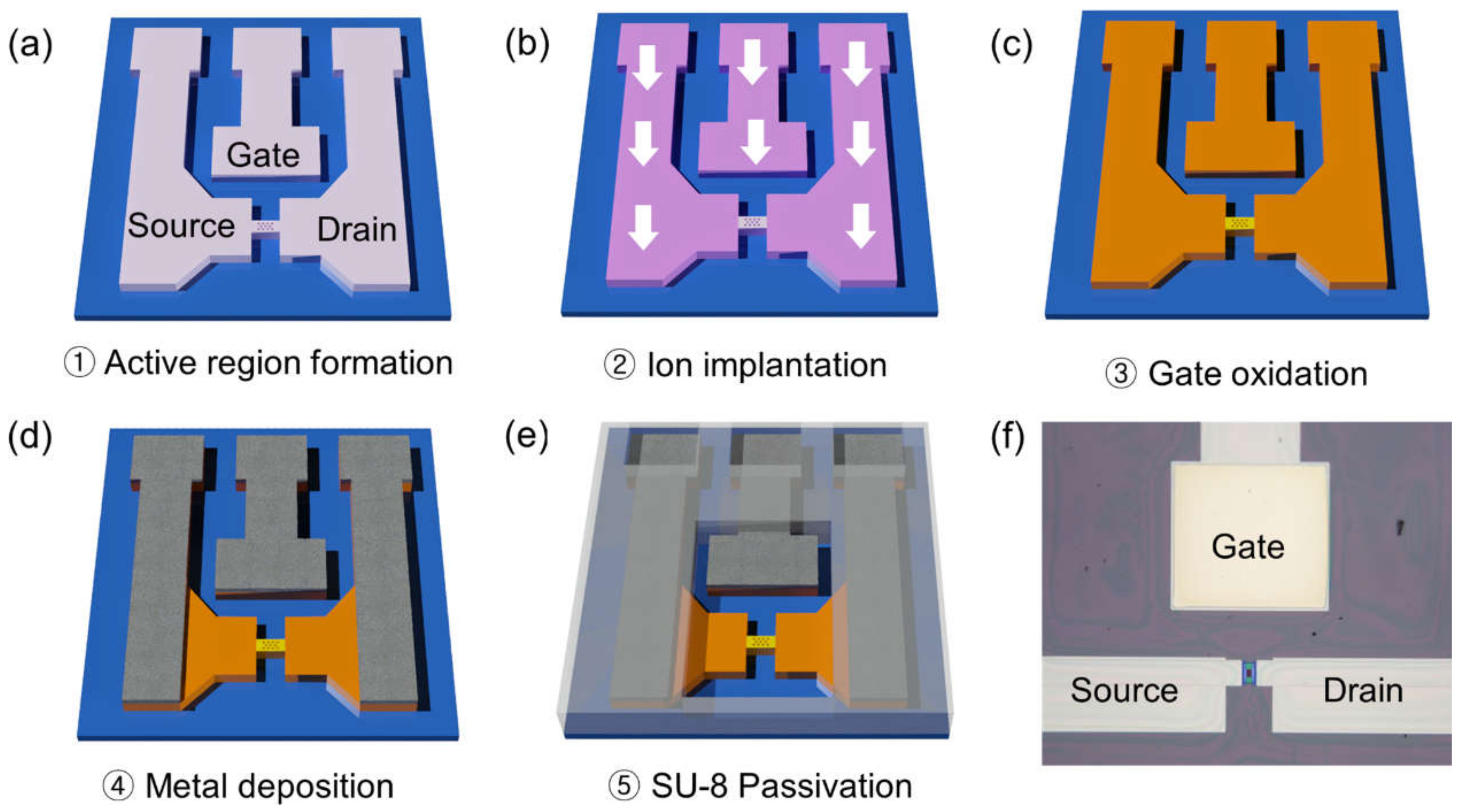 Biosensors 12 00024 g001 550