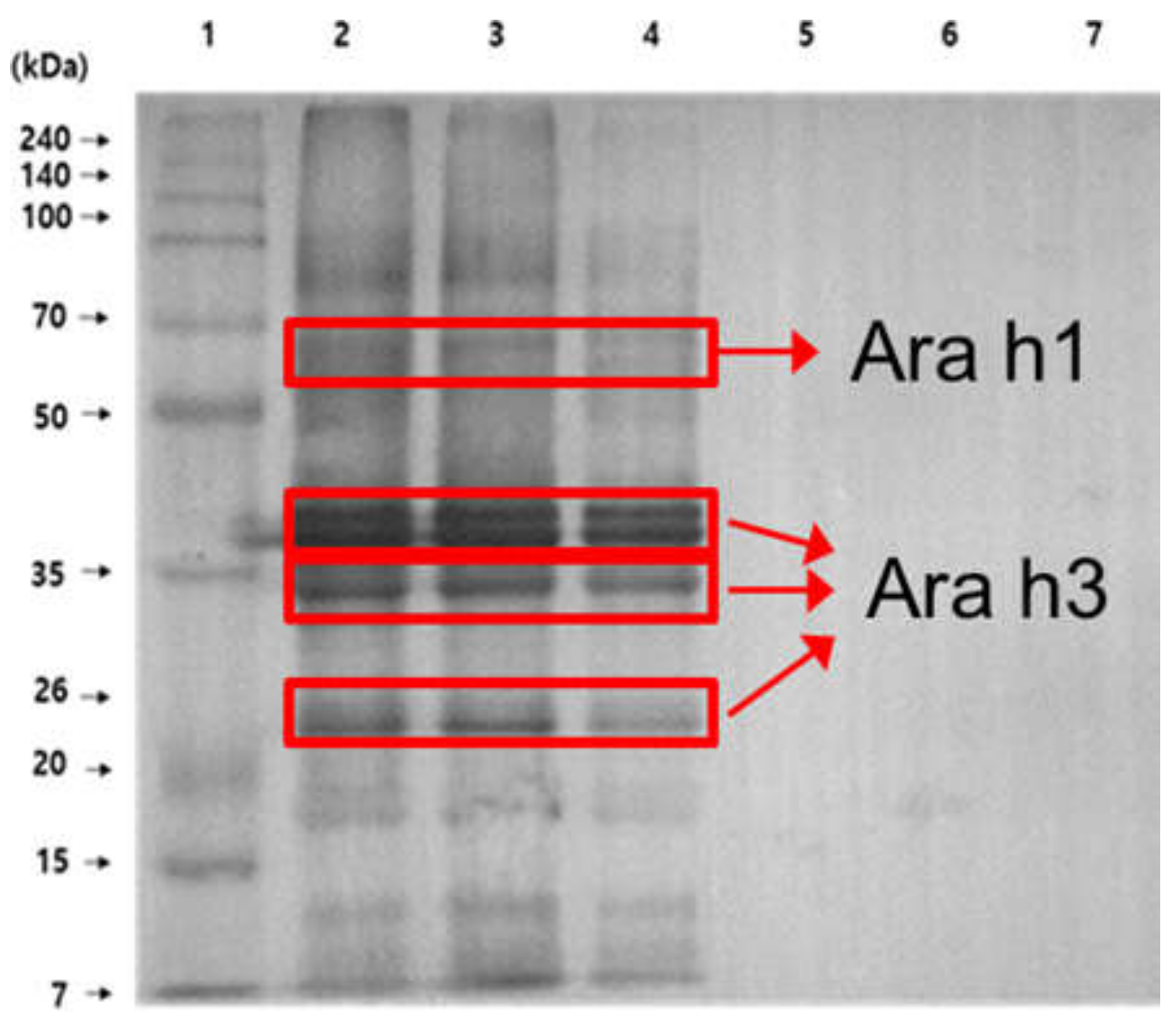 Biosensors 12 00024 g002 550