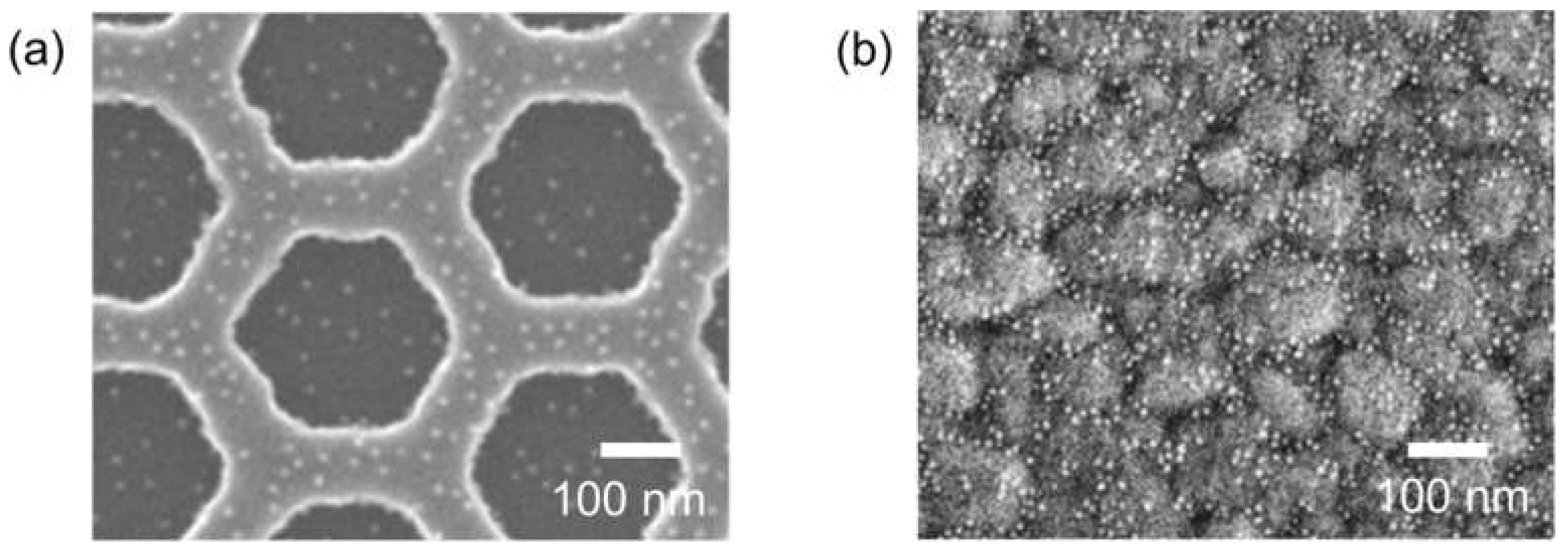 Biosensors 12 00024 g008 550