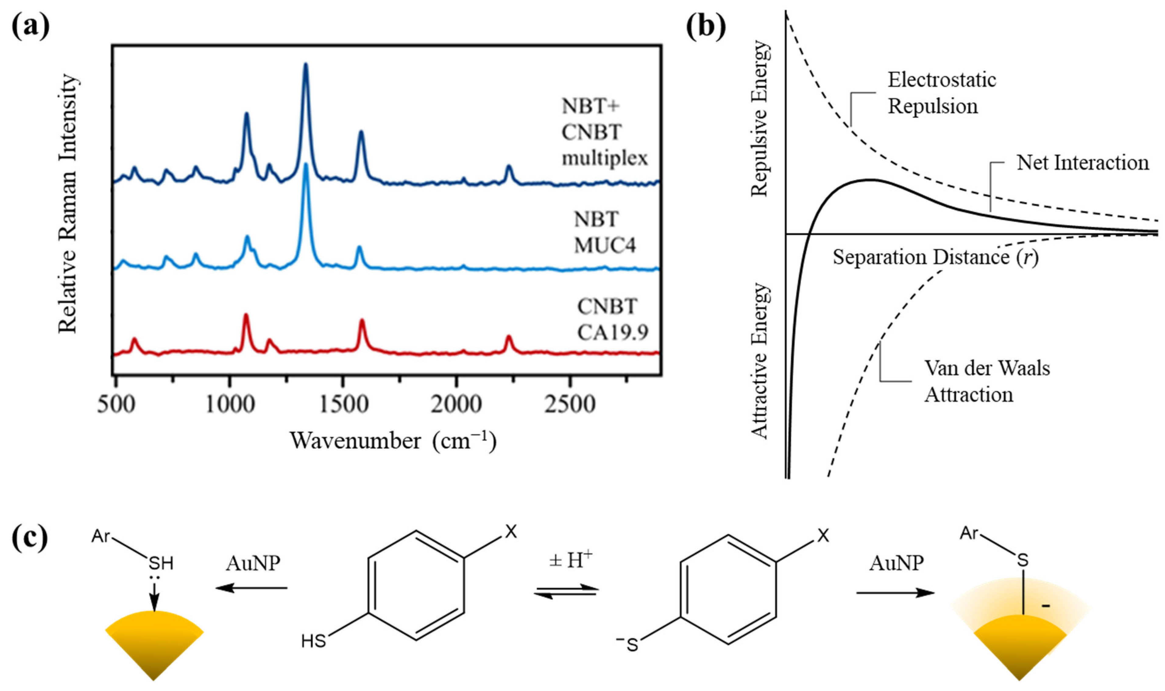 Biosensors 12 00025 g003 550