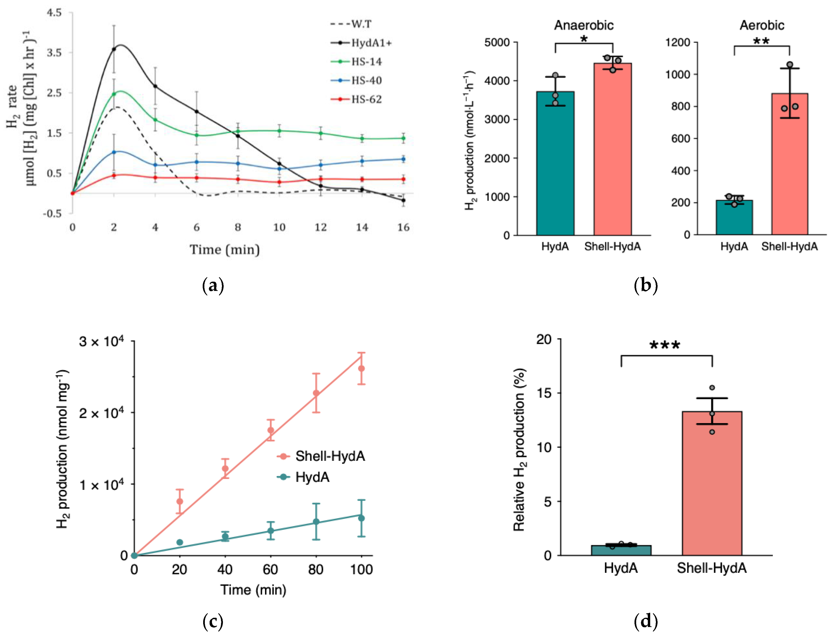 Biosensors 12 00028 g001