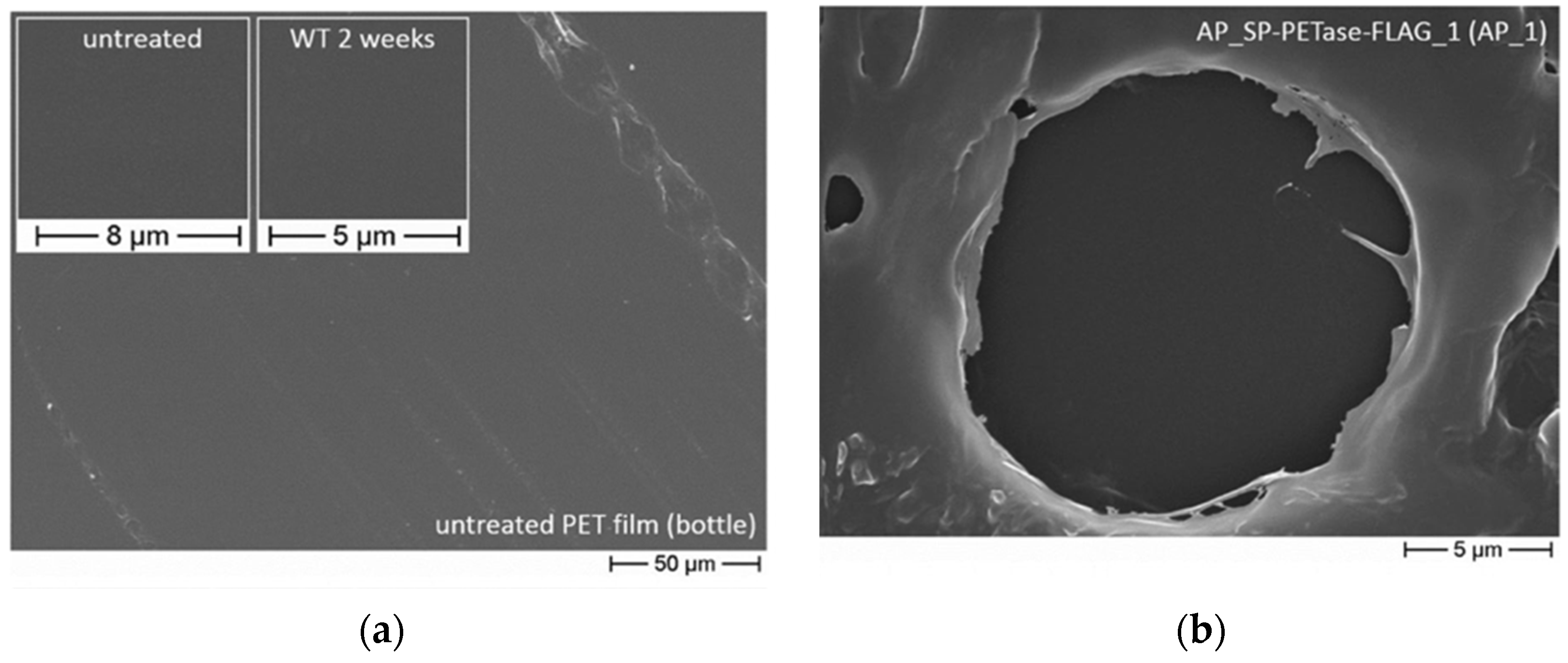 Biosensors 12 00028 g002a